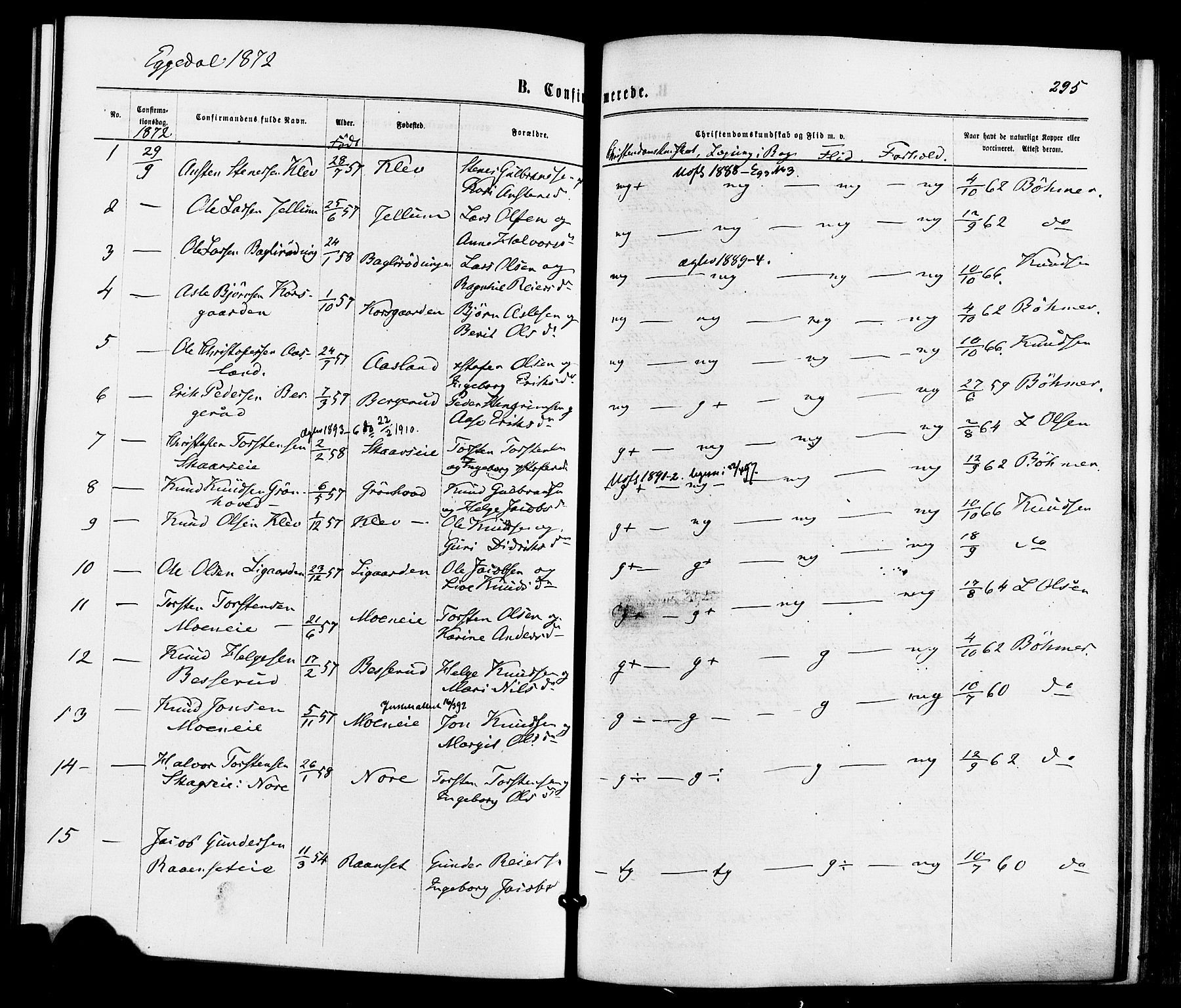 Sigdal kirkebøker, SAKO/A-245/F/Fa/L0010: Parish register (official) no. I 10 /3, 1872-1878, p. 295