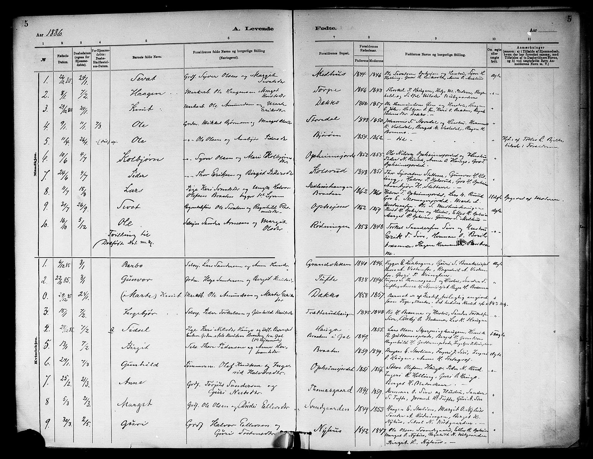 Ål kirkebøker, SAKO/A-249/F/Fb/L0001: Parish register (official) no. II 1, 1882-1899, p. 5