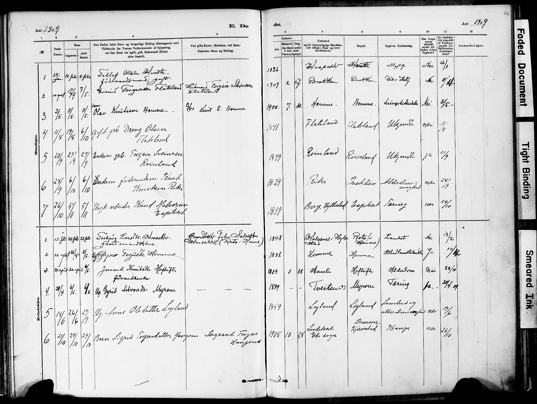 Valle sokneprestkontor, AV/SAK-1111-0044/F/Fa/Fac/L0009: Parish register (official) no. A 9, 1882-1913, p. 236