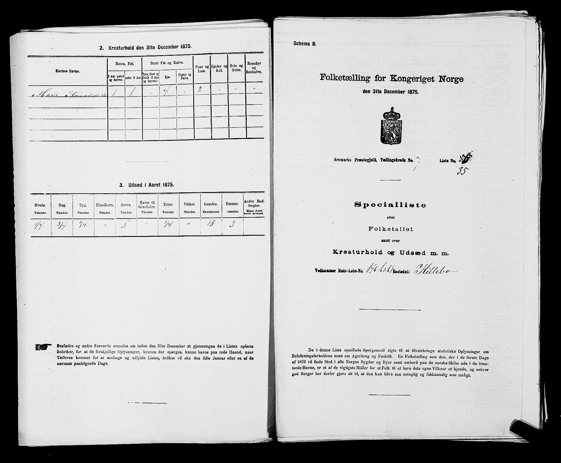 RA, 1875 census for 0118P Aremark, 1875, p. 1050