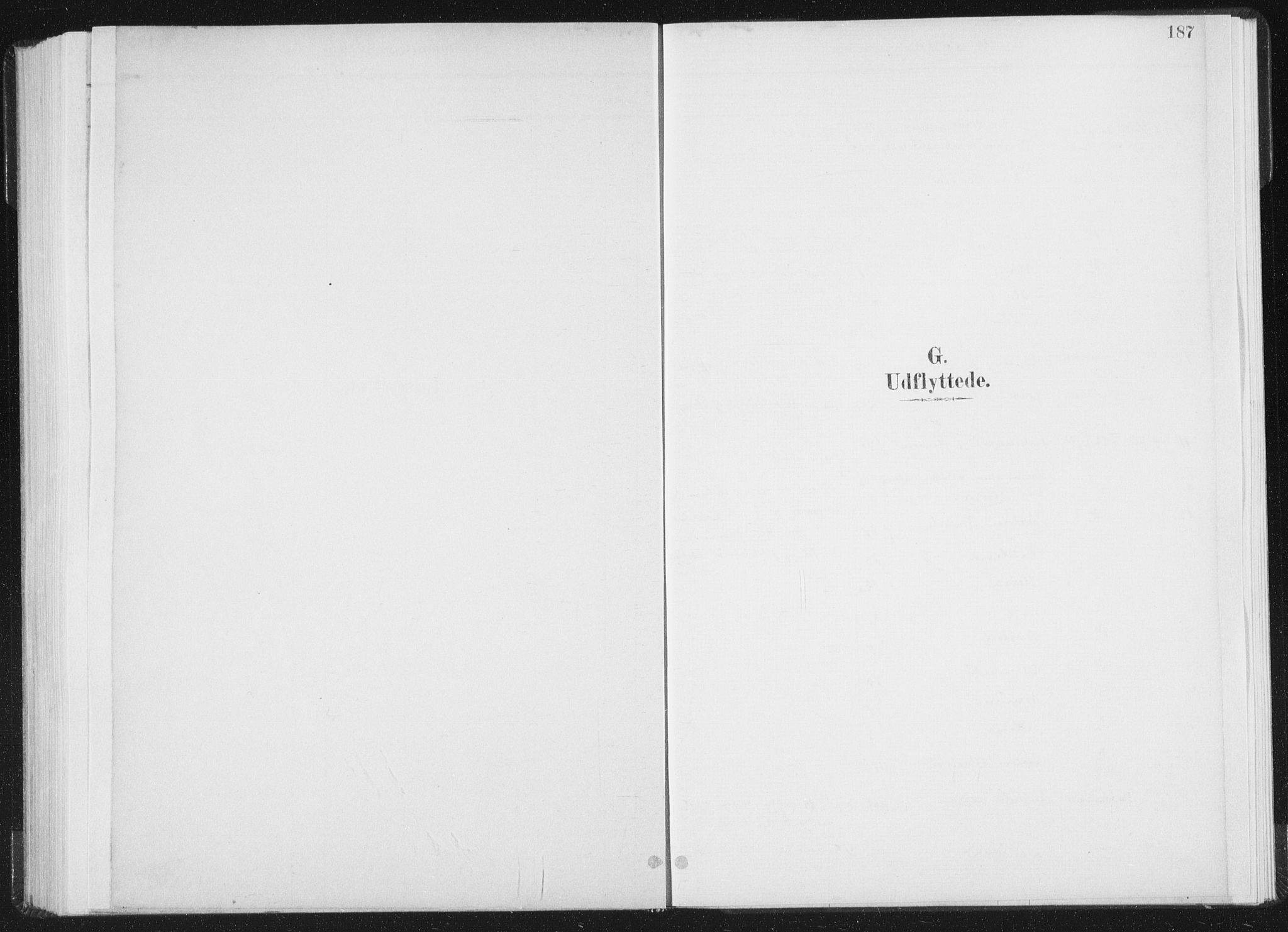 Ministerialprotokoller, klokkerbøker og fødselsregistre - Nord-Trøndelag, SAT/A-1458/771/L0597: Parish register (official) no. 771A04, 1885-1910, p. 187