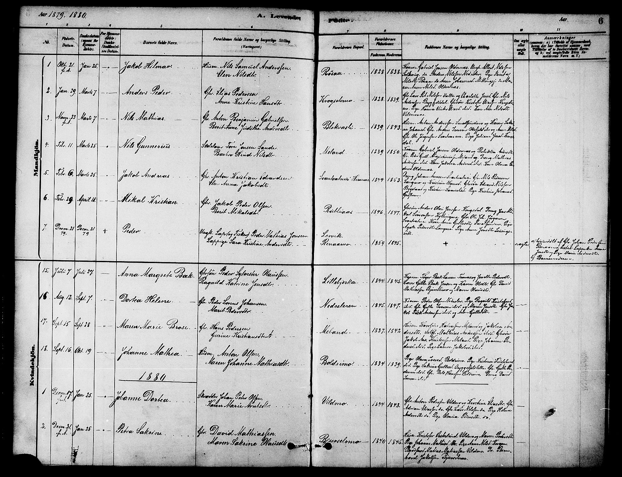 Ministerialprotokoller, klokkerbøker og fødselsregistre - Nordland, AV/SAT-A-1459/826/L0379: Parish register (official) no. 826A02, 1878-1895, p. 6