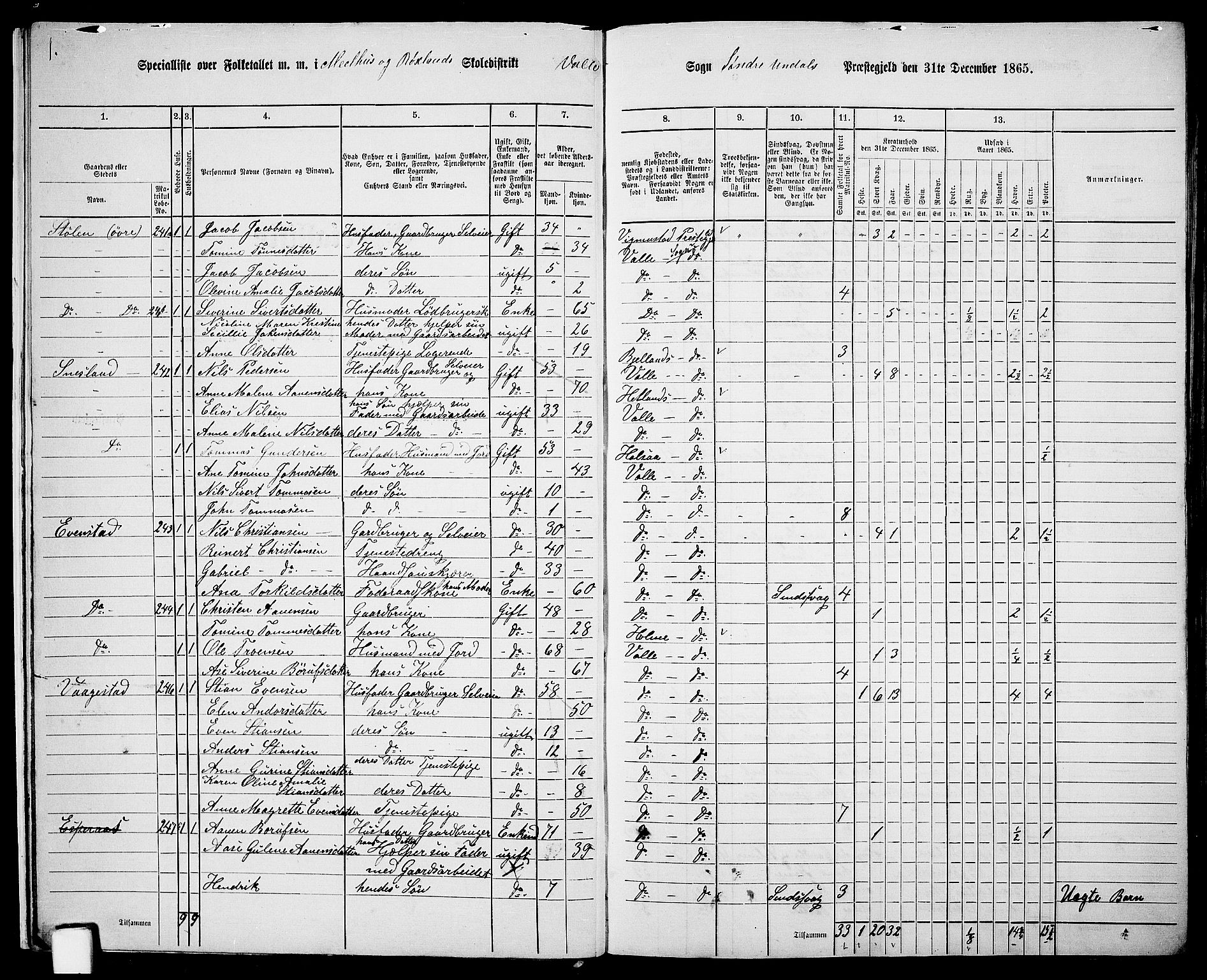 RA, 1865 census for Sør-Audnedal, 1865, p. 17