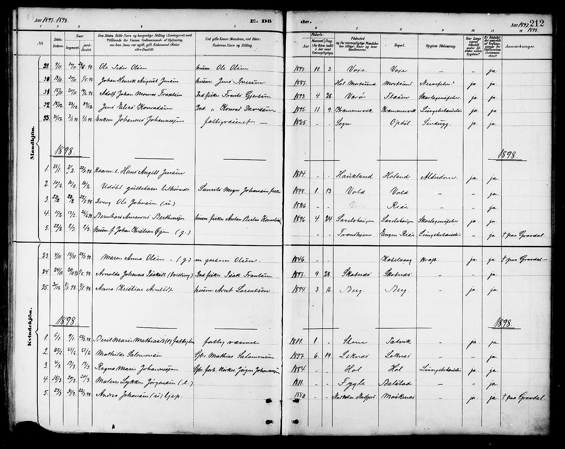 Ministerialprotokoller, klokkerbøker og fødselsregistre - Nordland, SAT/A-1459/881/L1167: Parish register (copy) no. 881C04, 1886-1899, p. 212