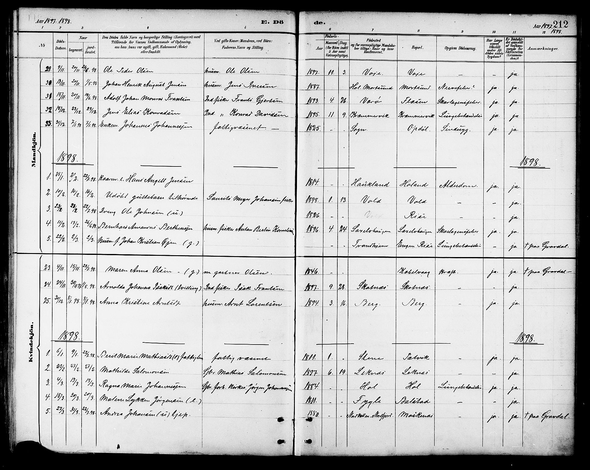 Ministerialprotokoller, klokkerbøker og fødselsregistre - Nordland, AV/SAT-A-1459/881/L1167: Parish register (copy) no. 881C04, 1886-1899, p. 212