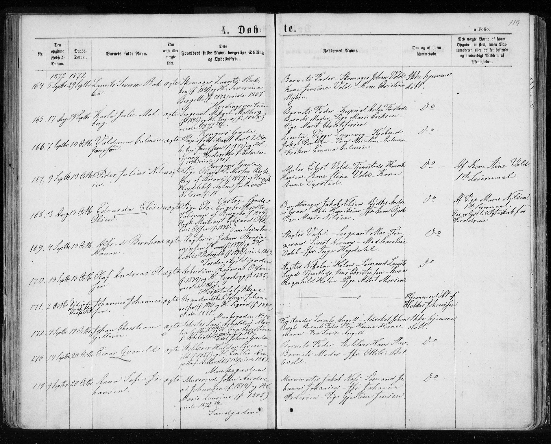 Ministerialprotokoller, klokkerbøker og fødselsregistre - Sør-Trøndelag, SAT/A-1456/601/L0054: Parish register (official) no. 601A22, 1866-1877, p. 119