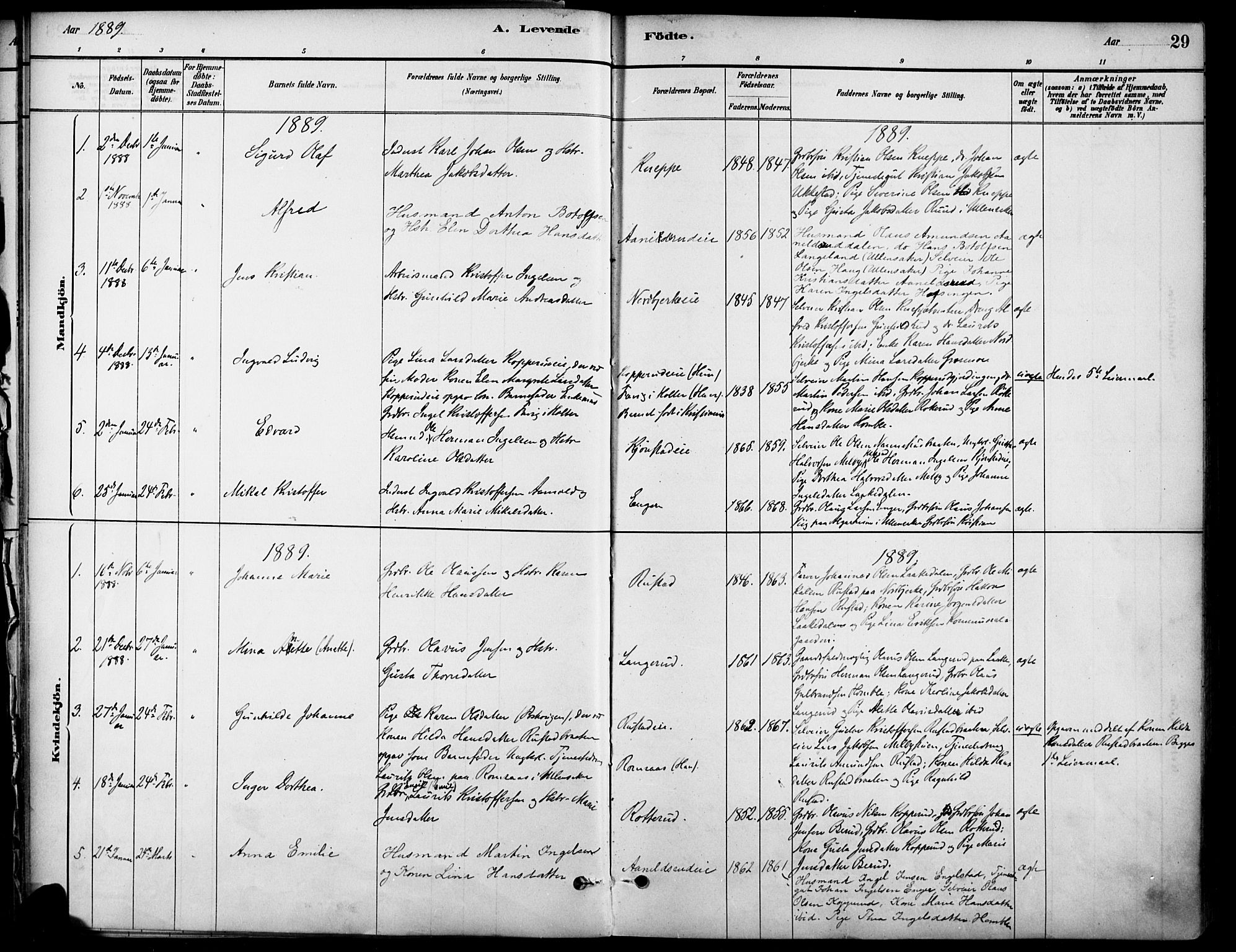 Nannestad prestekontor Kirkebøker, SAO/A-10414a/F/Fa/L0014: Parish register (official) no. I 14, 1881-1890, p. 29