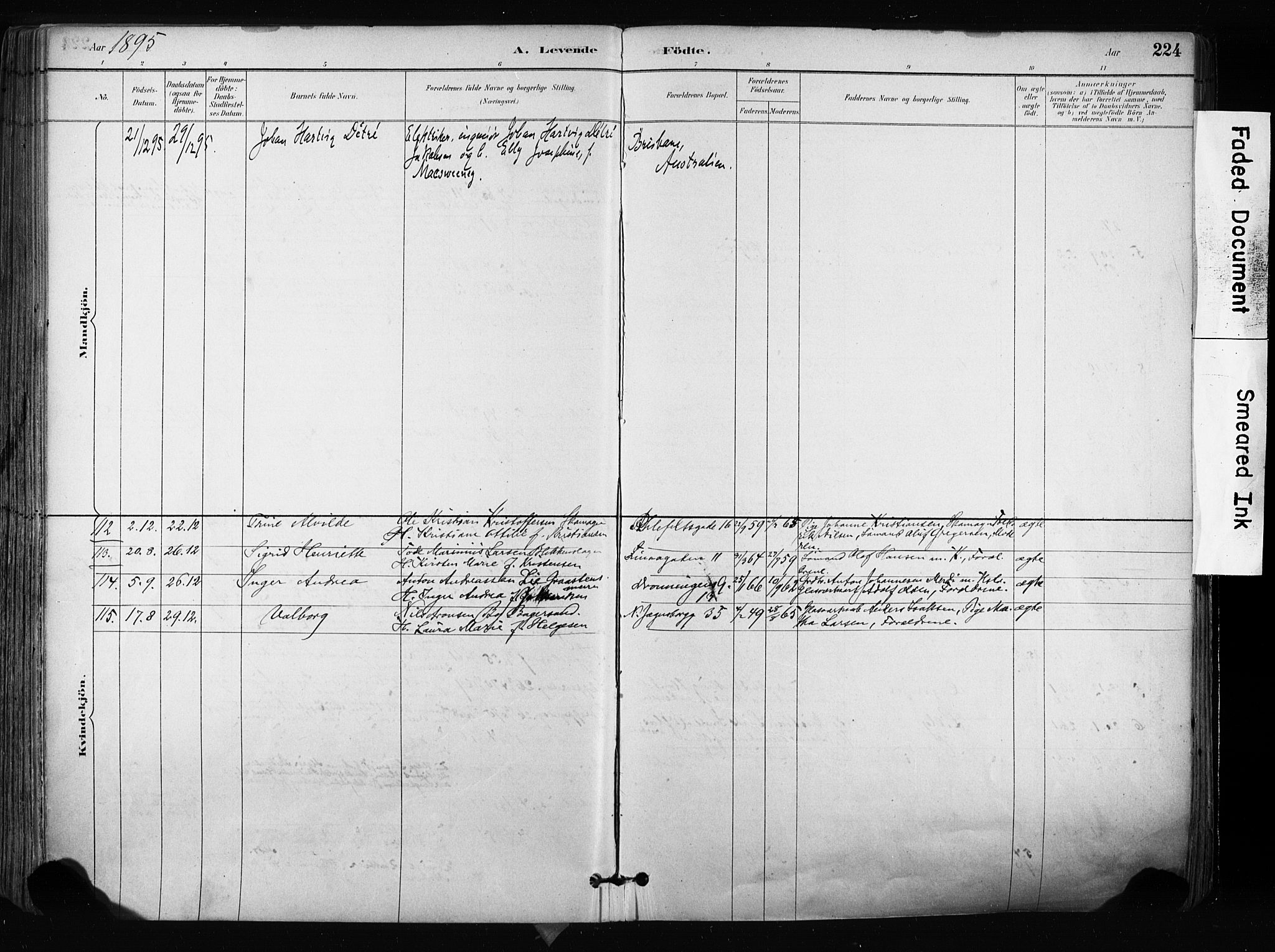 Larvik kirkebøker, AV/SAKO-A-352/F/Fa/L0009: Parish register (official) no. I 9, 1884-1904, p. 224