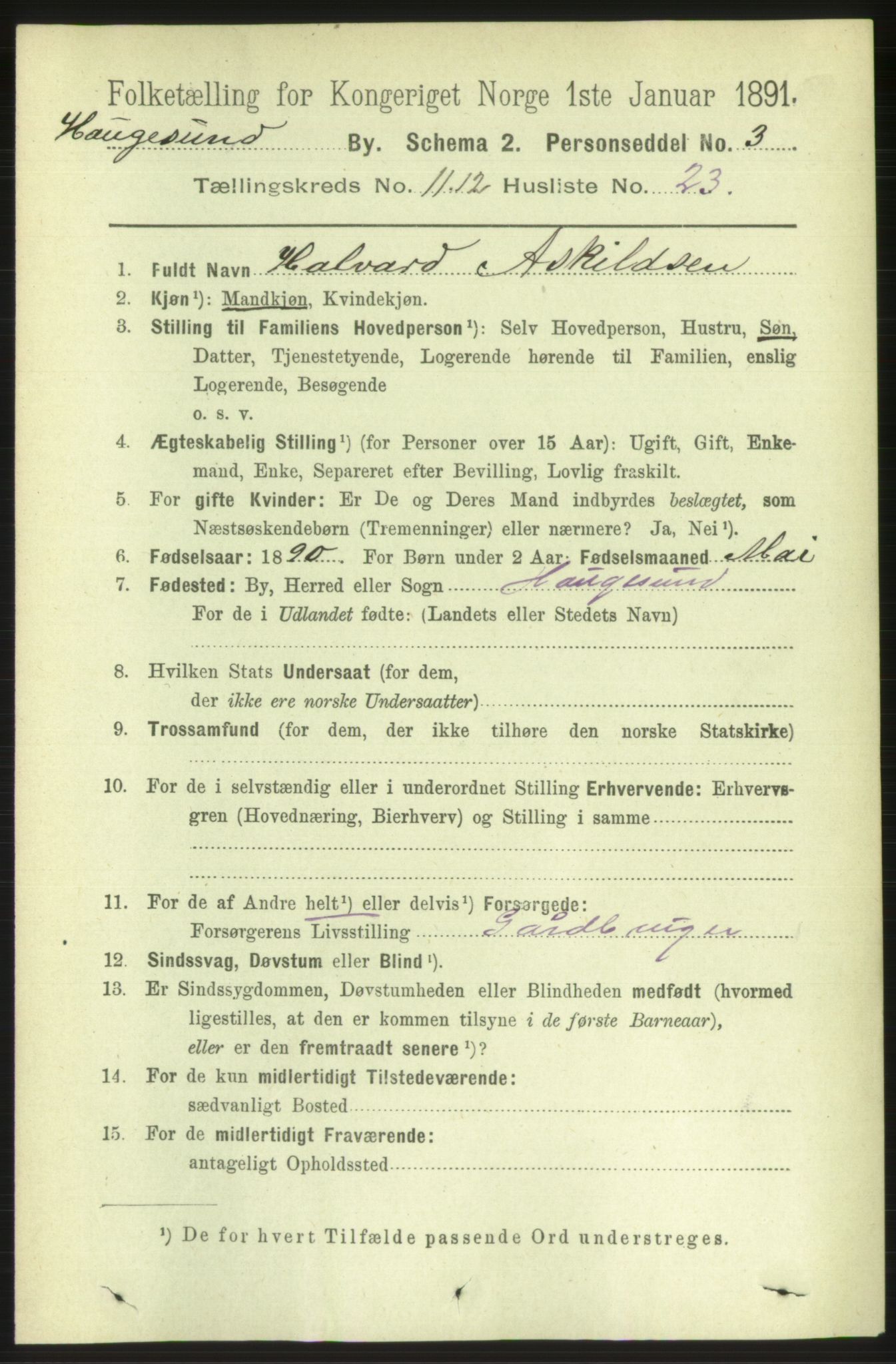 RA, 1891 census for 1106 Haugesund, 1891, p. 4238