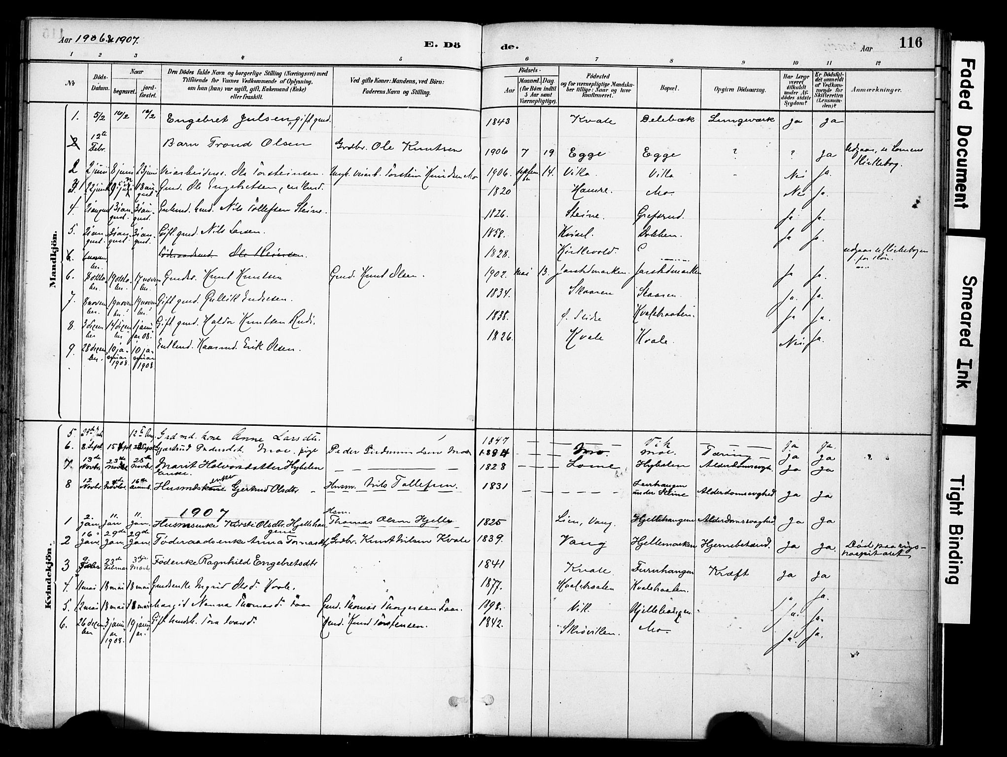 Vestre Slidre prestekontor, SAH/PREST-136/H/Ha/Haa/L0004: Parish register (official) no. 4, 1881-1911, p. 116