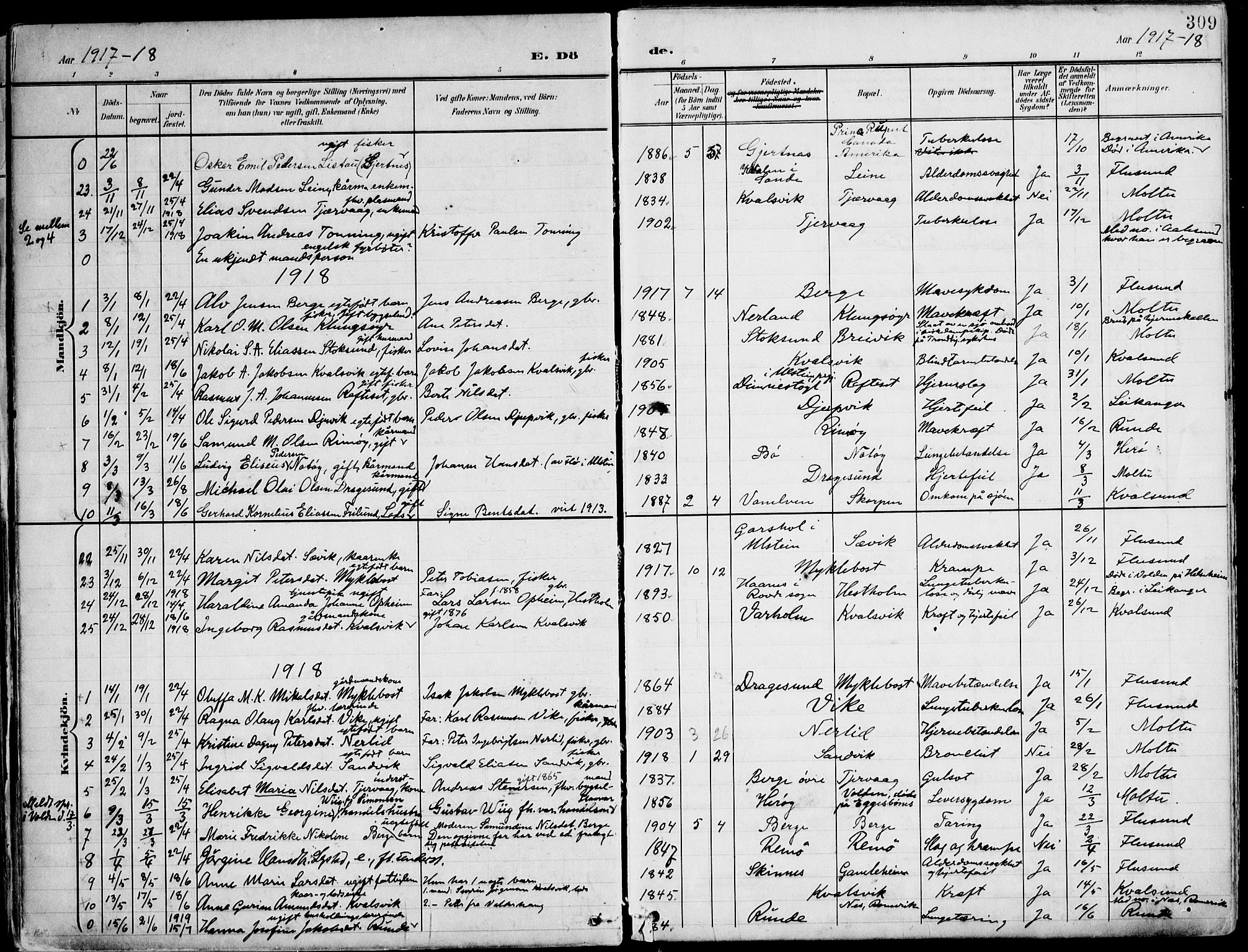 Ministerialprotokoller, klokkerbøker og fødselsregistre - Møre og Romsdal, SAT/A-1454/507/L0075: Parish register (official) no. 507A10, 1901-1920, p. 309