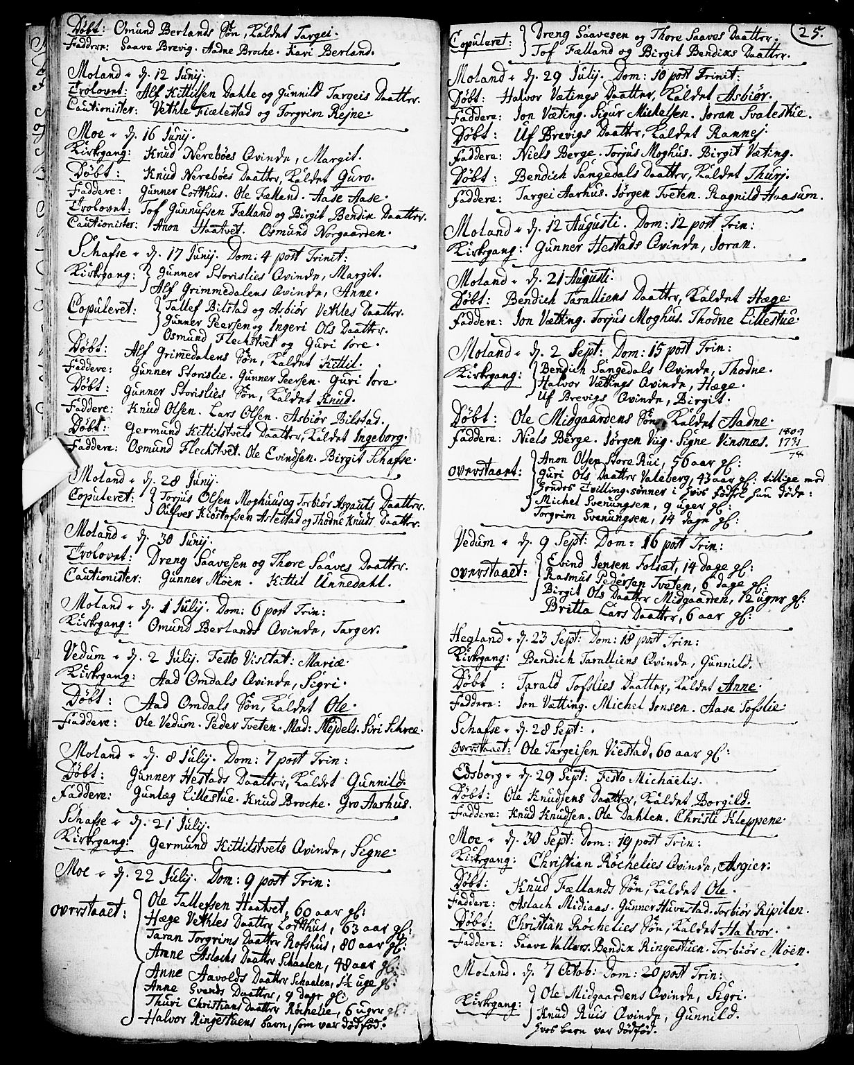 Fyresdal kirkebøker, SAKO/A-263/F/Fa/L0001: Parish register (official) no. I 1, 1724-1748, p. 25