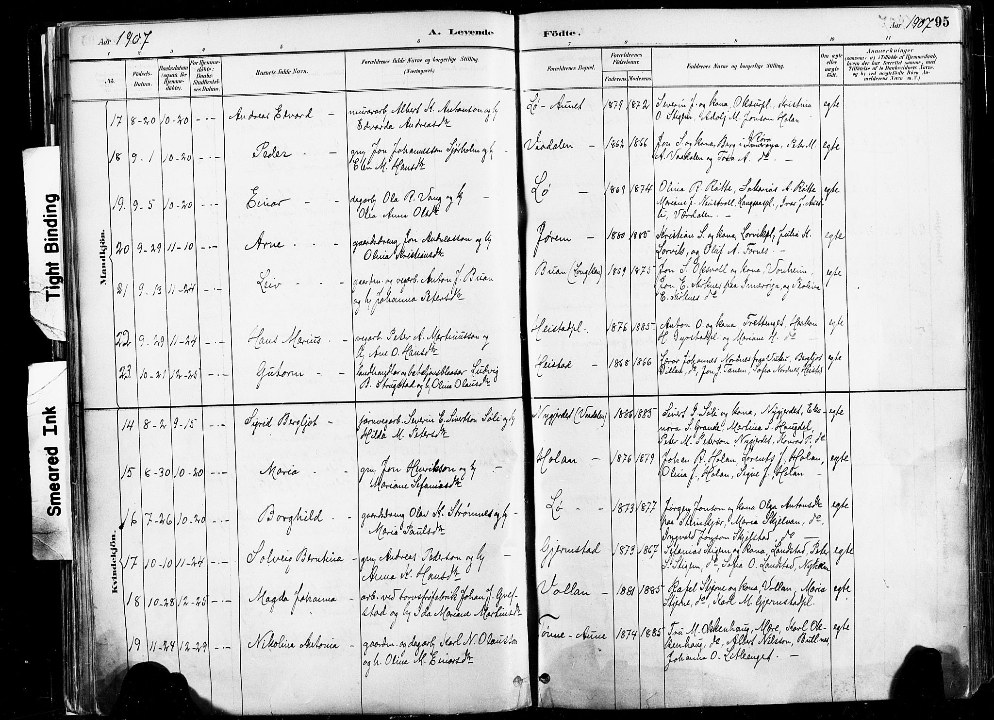 Ministerialprotokoller, klokkerbøker og fødselsregistre - Nord-Trøndelag, SAT/A-1458/735/L0351: Parish register (official) no. 735A10, 1884-1908, p. 95