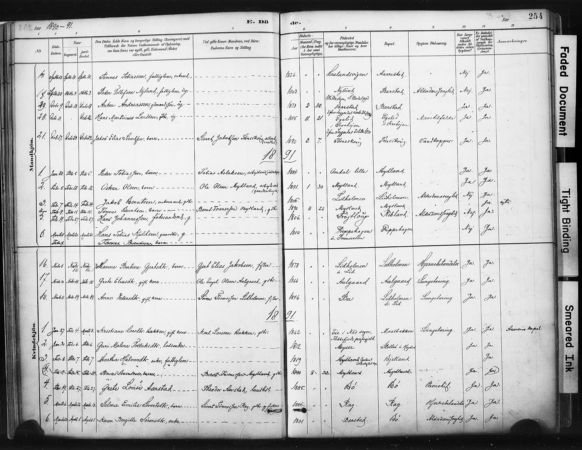 Sokndal sokneprestkontor, SAST/A-101808: Parish register (official) no. A 11.2, 1887-1905, p. 254