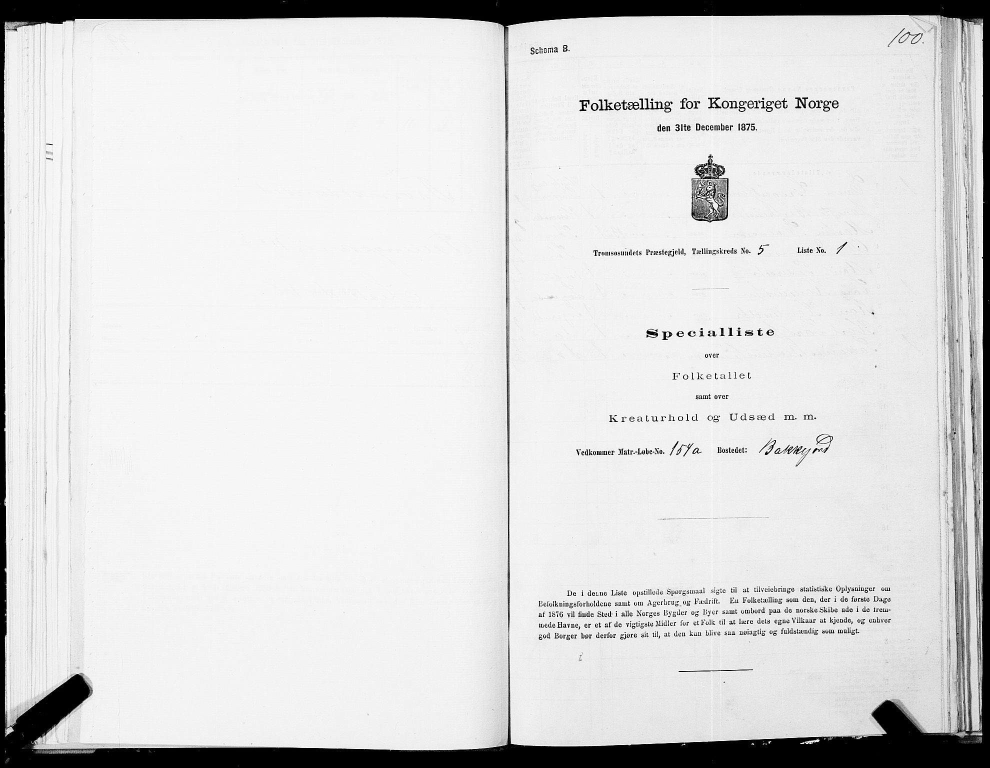 SATØ, 1875 census for 1934P Tromsøysund, 1875, p. 3100