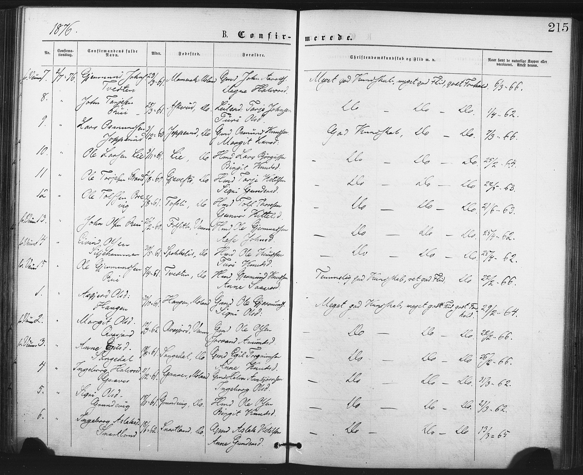 Fyresdal kirkebøker, SAKO/A-263/F/Fa/L0006: Parish register (official) no. I 6, 1872-1886, p. 215