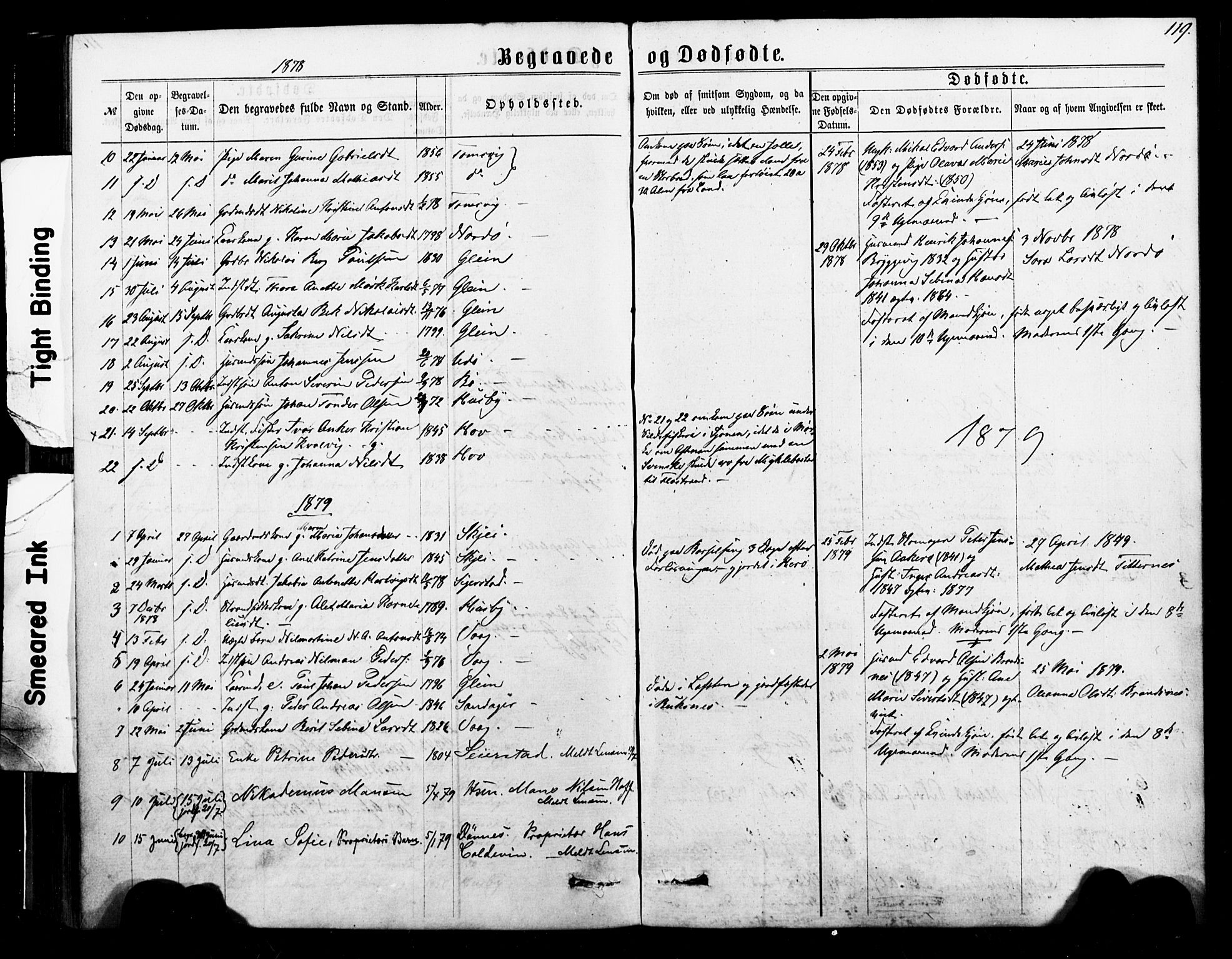 Ministerialprotokoller, klokkerbøker og fødselsregistre - Nordland, SAT/A-1459/835/L0524: Parish register (official) no. 835A02, 1865-1880, p. 119