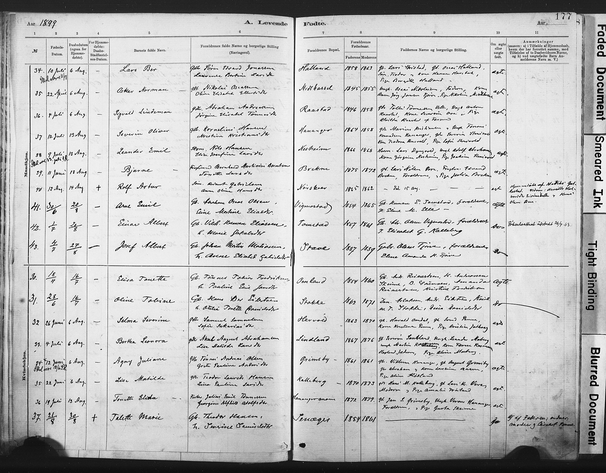 Lista sokneprestkontor, AV/SAK-1111-0027/F/Fa/L0012: Parish register (official) no. A 12, 1879-1903, p. 177