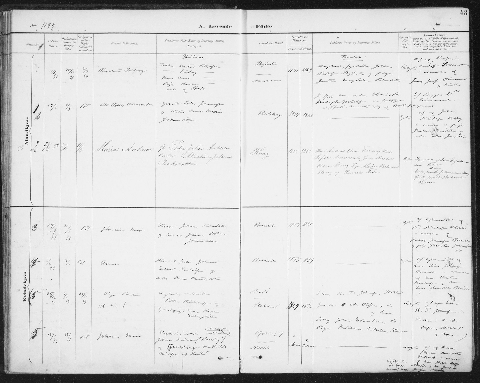 Ministerialprotokoller, klokkerbøker og fødselsregistre - Nordland, AV/SAT-A-1459/852/L0741: Parish register (official) no. 852A11, 1894-1917, p. 43