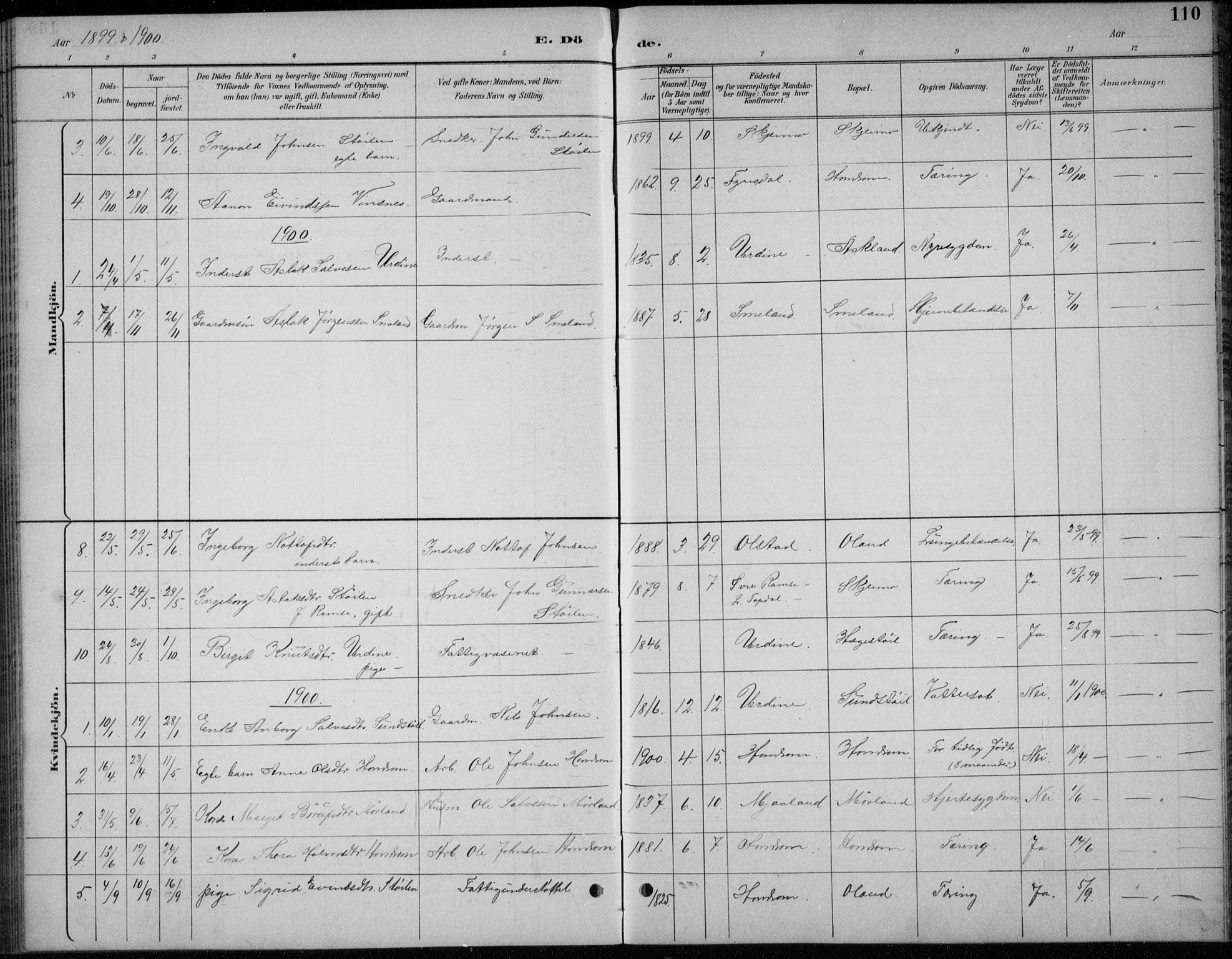 Åmli sokneprestkontor, AV/SAK-1111-0050/F/Fb/Fba/L0002: Parish register (copy) no. B 2, 1890-1912, p. 110