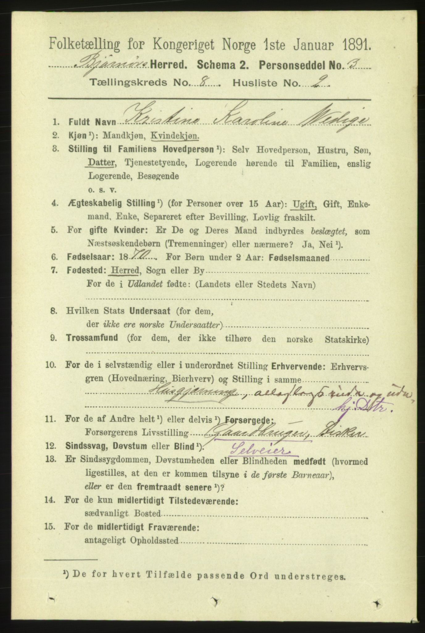 RA, 1891 census for 1632 Bjørnør, 1891, p. 3385