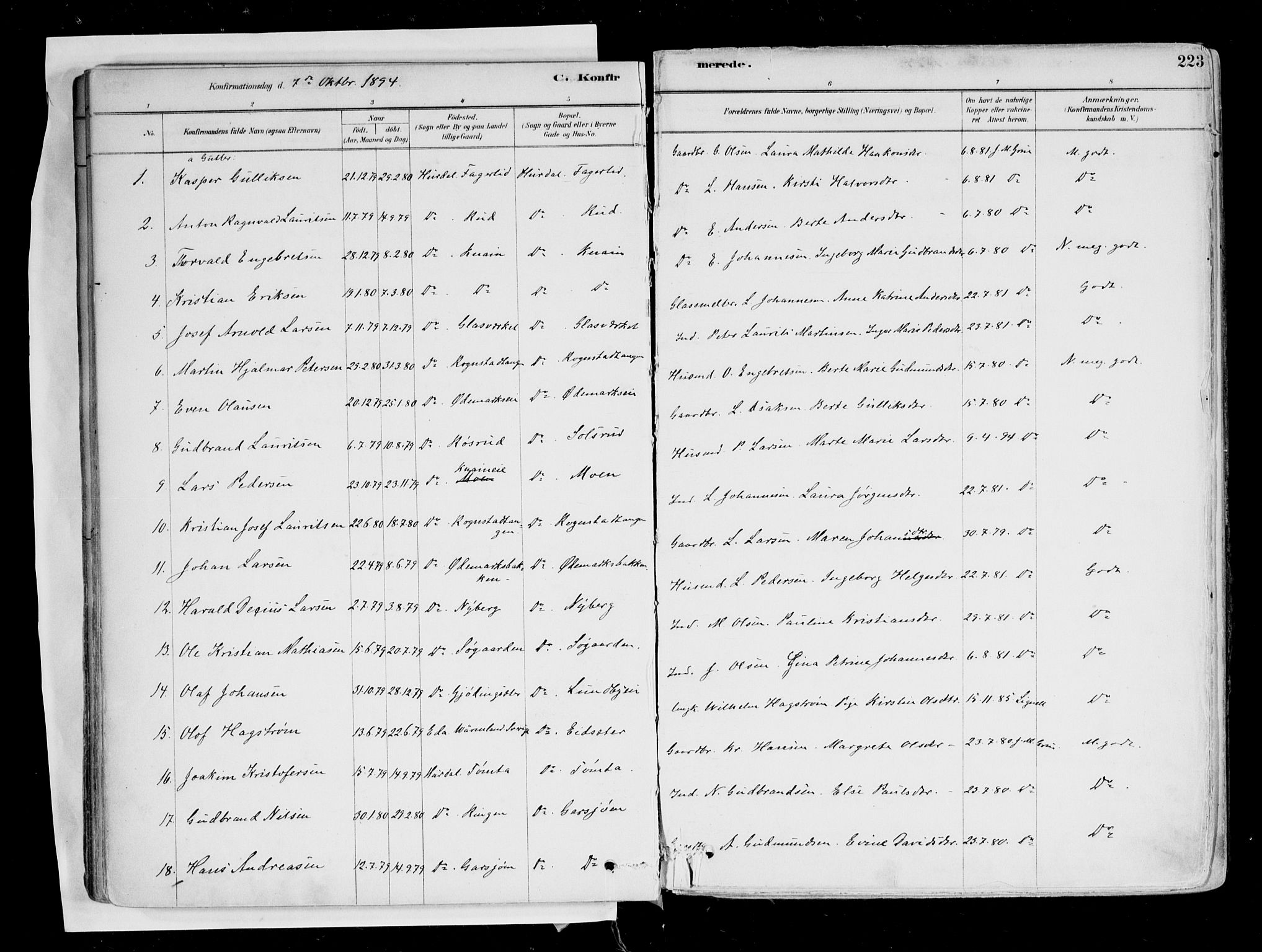 Hurdal prestekontor Kirkebøker, SAO/A-10889/F/Fa/L0007: Parish register (official) no. I 7, 1878-1906, p. 223
