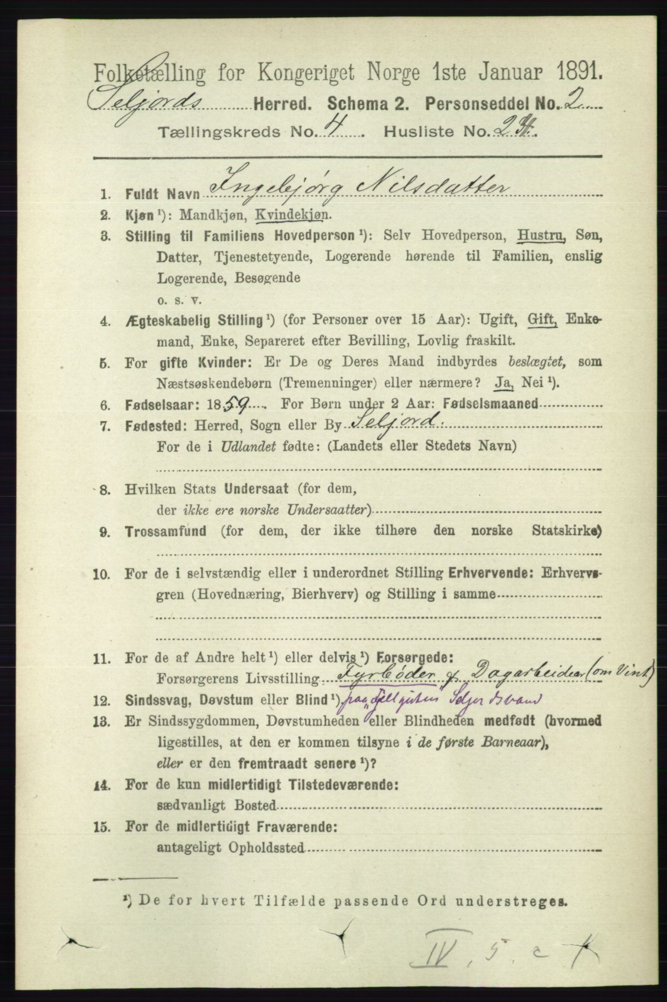 RA, 1891 census for 0828 Seljord, 1891, p. 1418