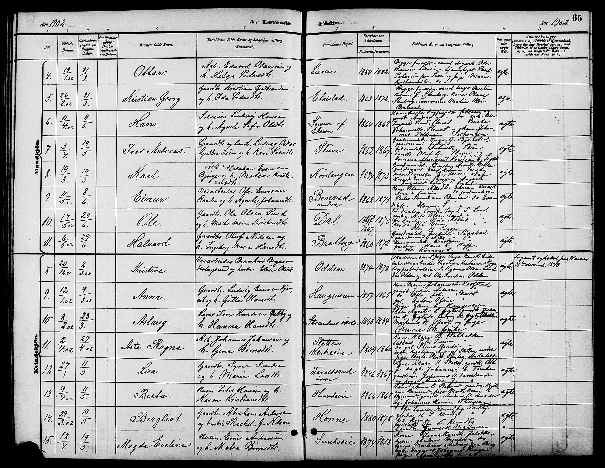 Biri prestekontor, SAH/PREST-096/H/Ha/Hab/L0004: Parish register (copy) no. 4, 1892-1909, p. 65