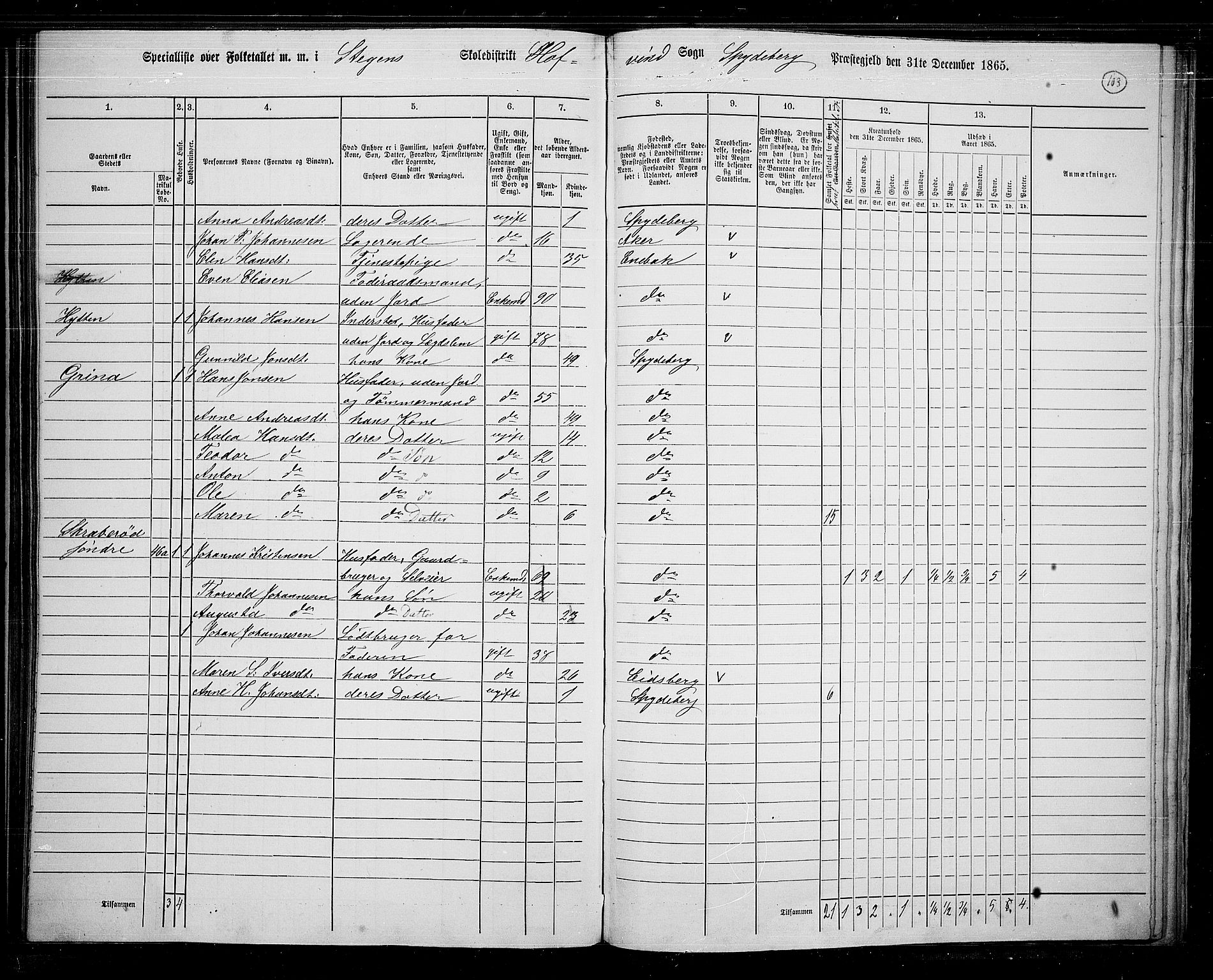 RA, 1865 census for Spydeberg, 1865, p. 91