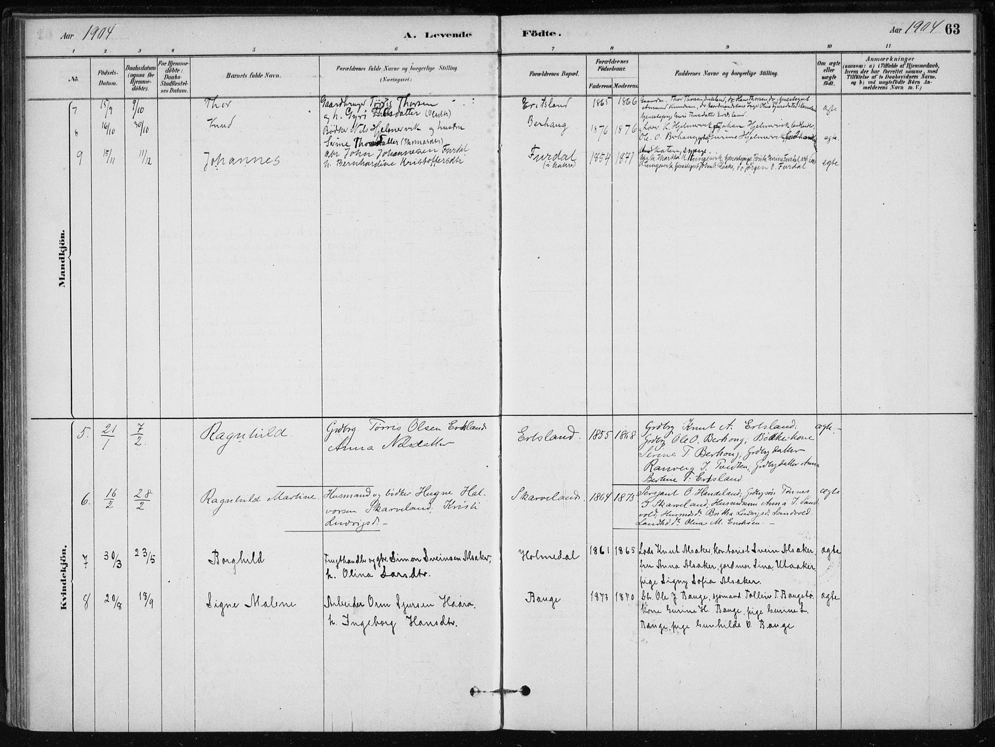 Skånevik sokneprestembete, SAB/A-77801/H/Haa: Parish register (official) no. C  1, 1879-1917, p. 63