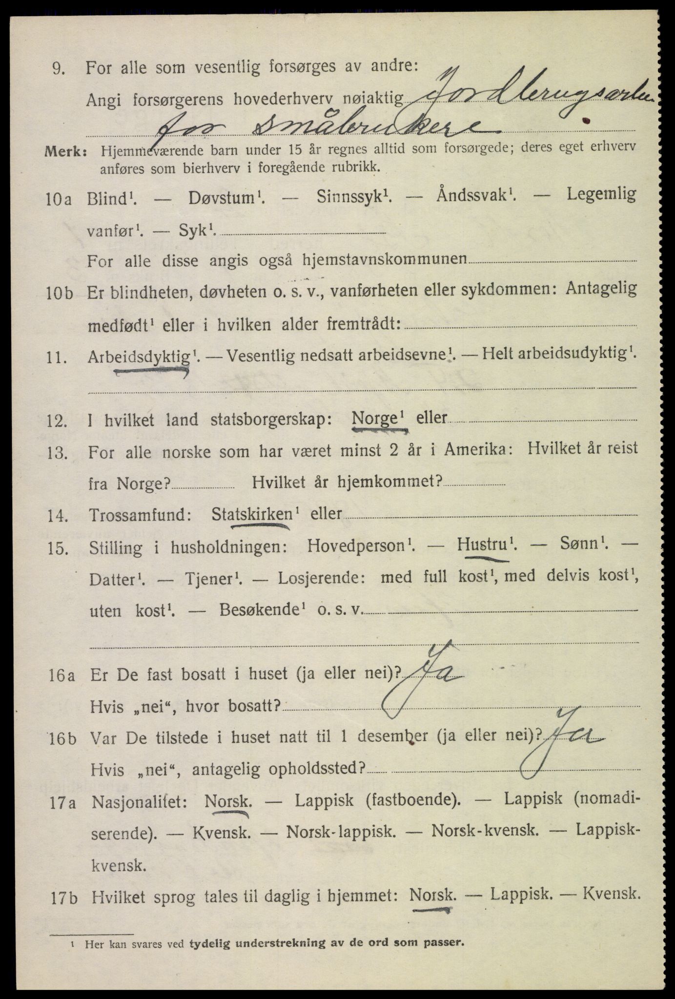 SAT, 1920 census for Bø, 1920, p. 2295