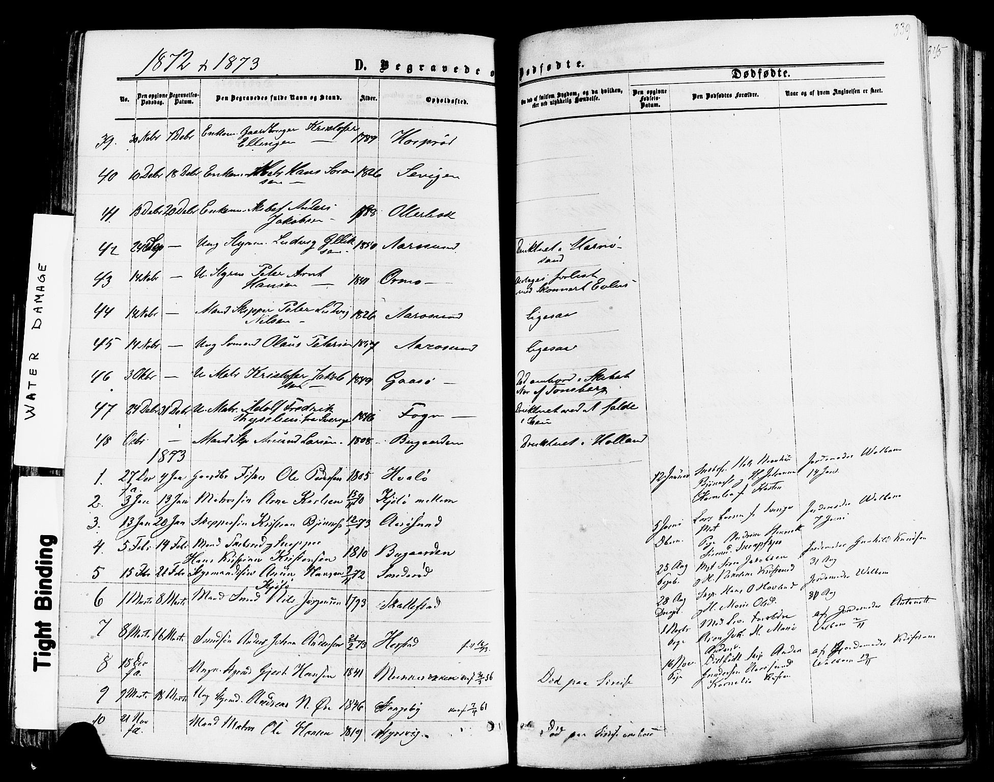Nøtterøy kirkebøker, AV/SAKO-A-354/F/Fa/L0007: Parish register (official) no. I 7, 1865-1877, p. 339