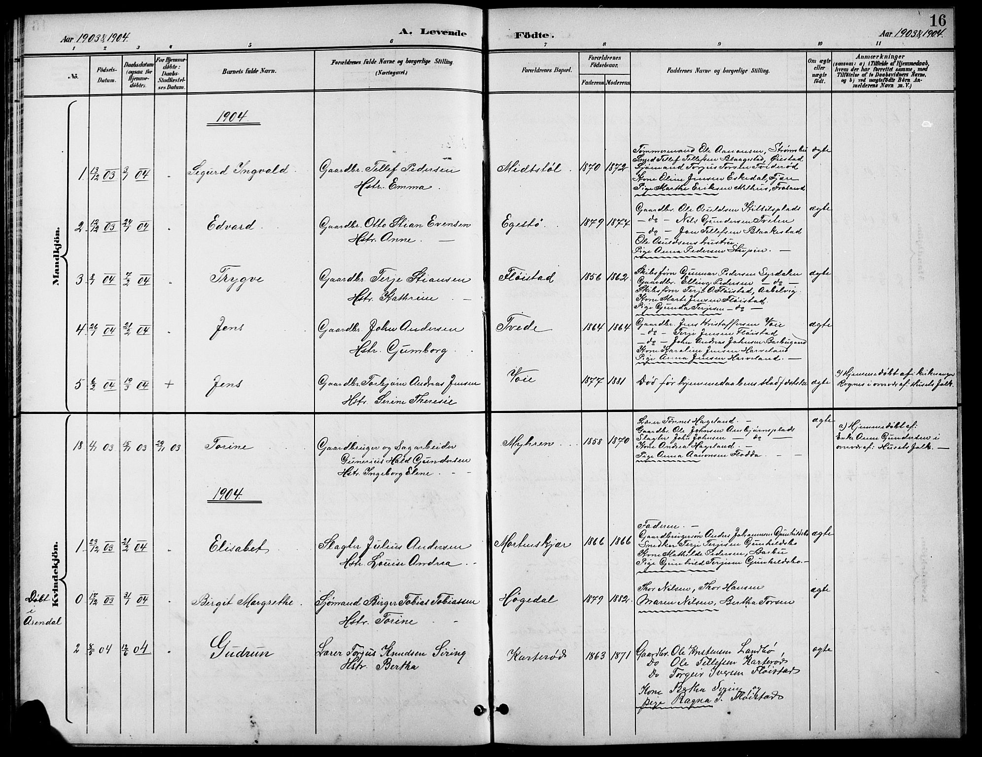 Austre Moland sokneprestkontor, SAK/1111-0001/F/Fb/Fba/L0004: Parish register (copy) no. B 4a, 1897-1913, p. 16