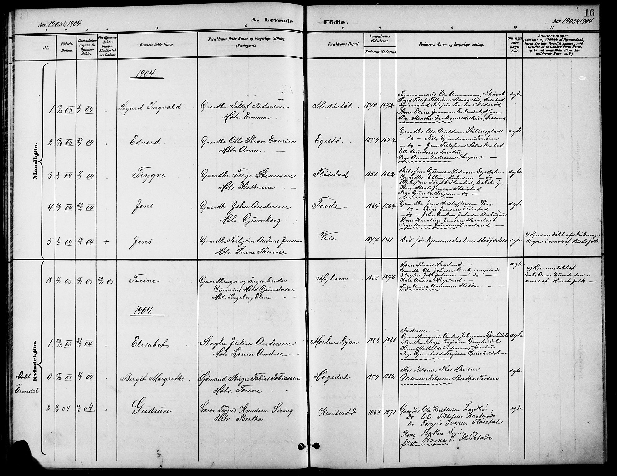 Austre Moland sokneprestkontor, AV/SAK-1111-0001/F/Fb/Fba/L0004: Parish register (copy) no. B 4a, 1897-1913, p. 16