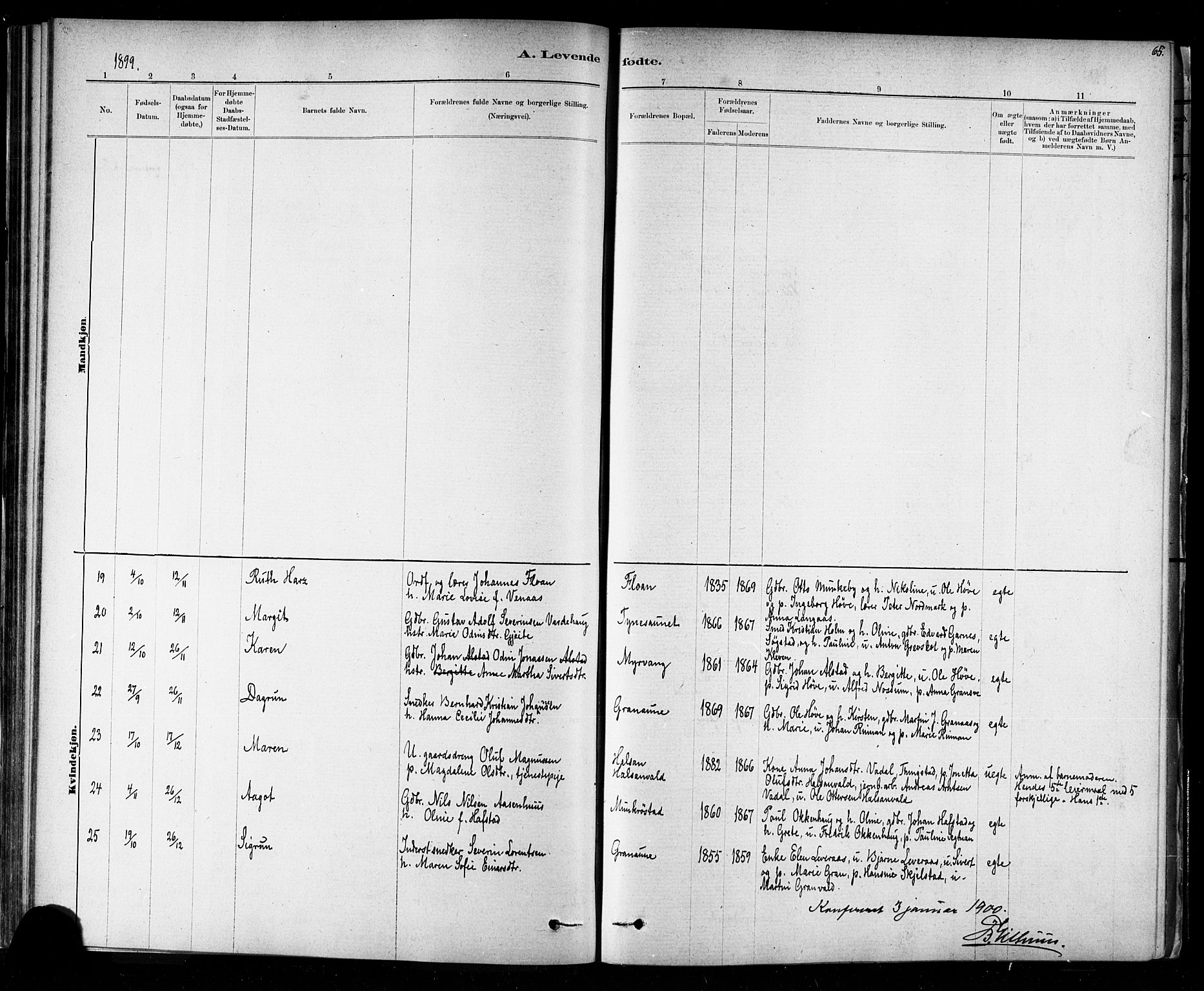 Ministerialprotokoller, klokkerbøker og fødselsregistre - Nord-Trøndelag, SAT/A-1458/721/L0208: Parish register (copy) no. 721C01, 1880-1917, p. 65