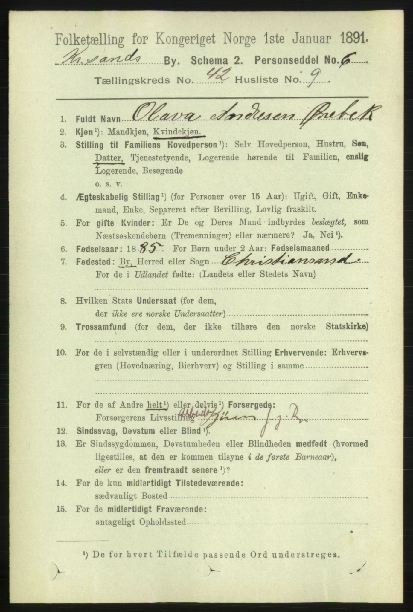 RA, 1891 census for 1001 Kristiansand, 1891, p. 13151