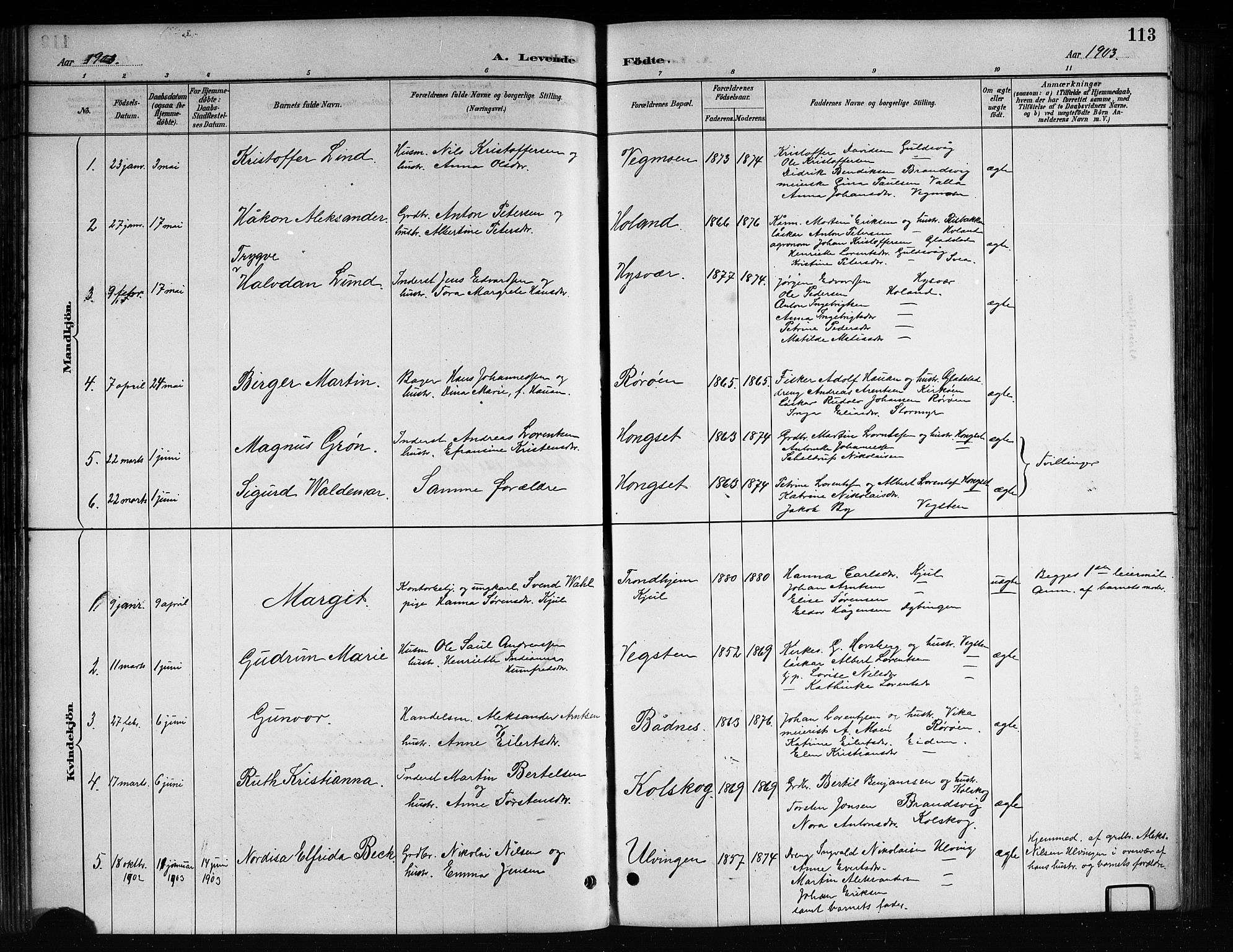 Ministerialprotokoller, klokkerbøker og fødselsregistre - Nordland, AV/SAT-A-1459/816/L0253: Parish register (copy) no. 816C03, 1886-1905, p. 113