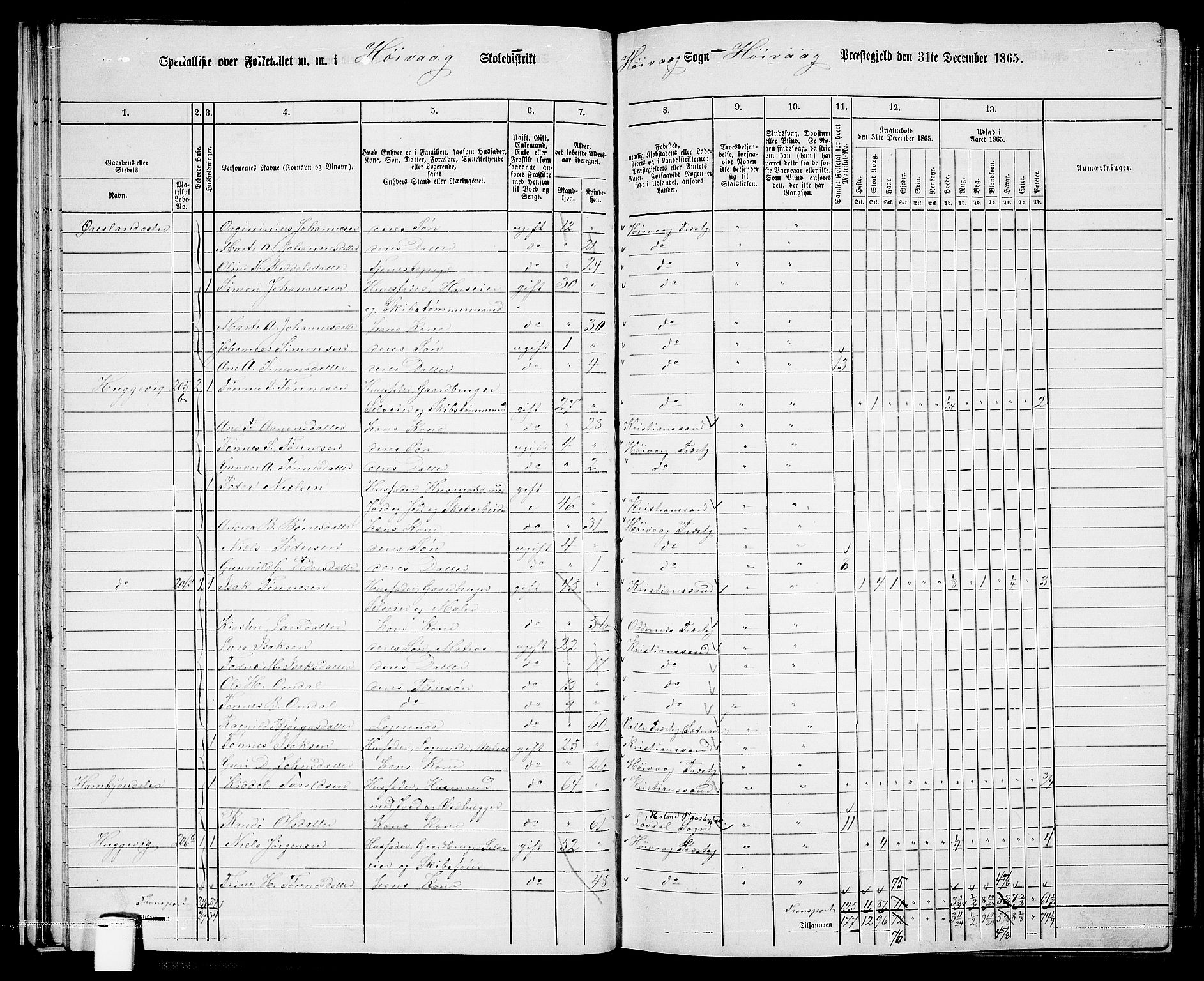 RA, 1865 census for Høvåg, 1865, p. 41