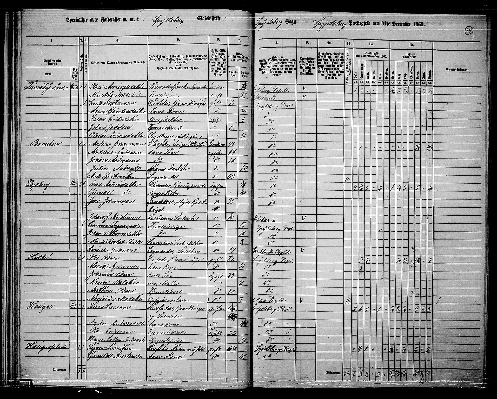 RA, 1865 census for Spydeberg, 1865, p. 38