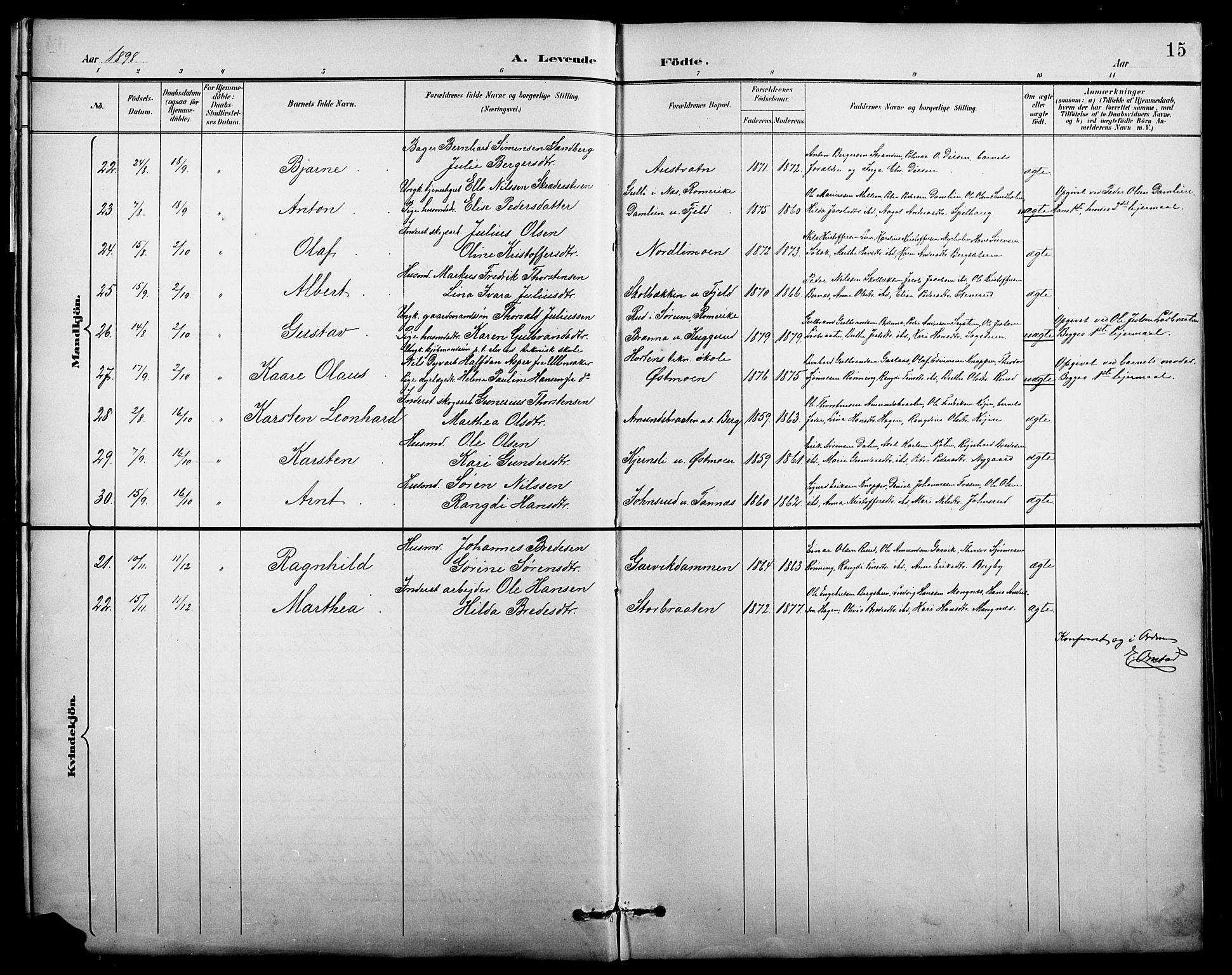 Nord-Odal prestekontor, AV/SAH-PREST-032/H/Ha/Hab/L0002: Parish register (copy) no. 2, 1895-1921, p. 15