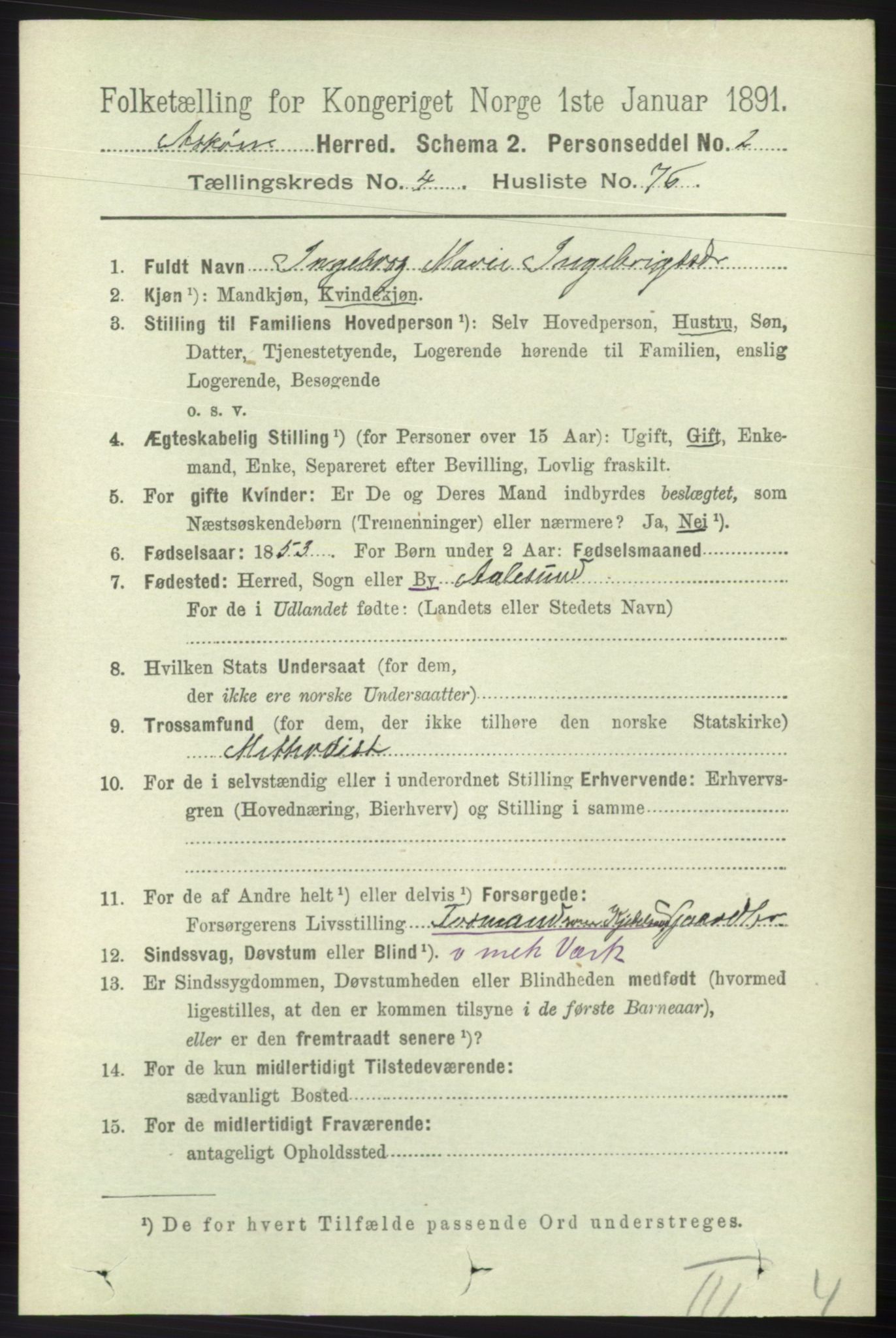 RA, 1891 census for 1247 Askøy, 1891, p. 3413