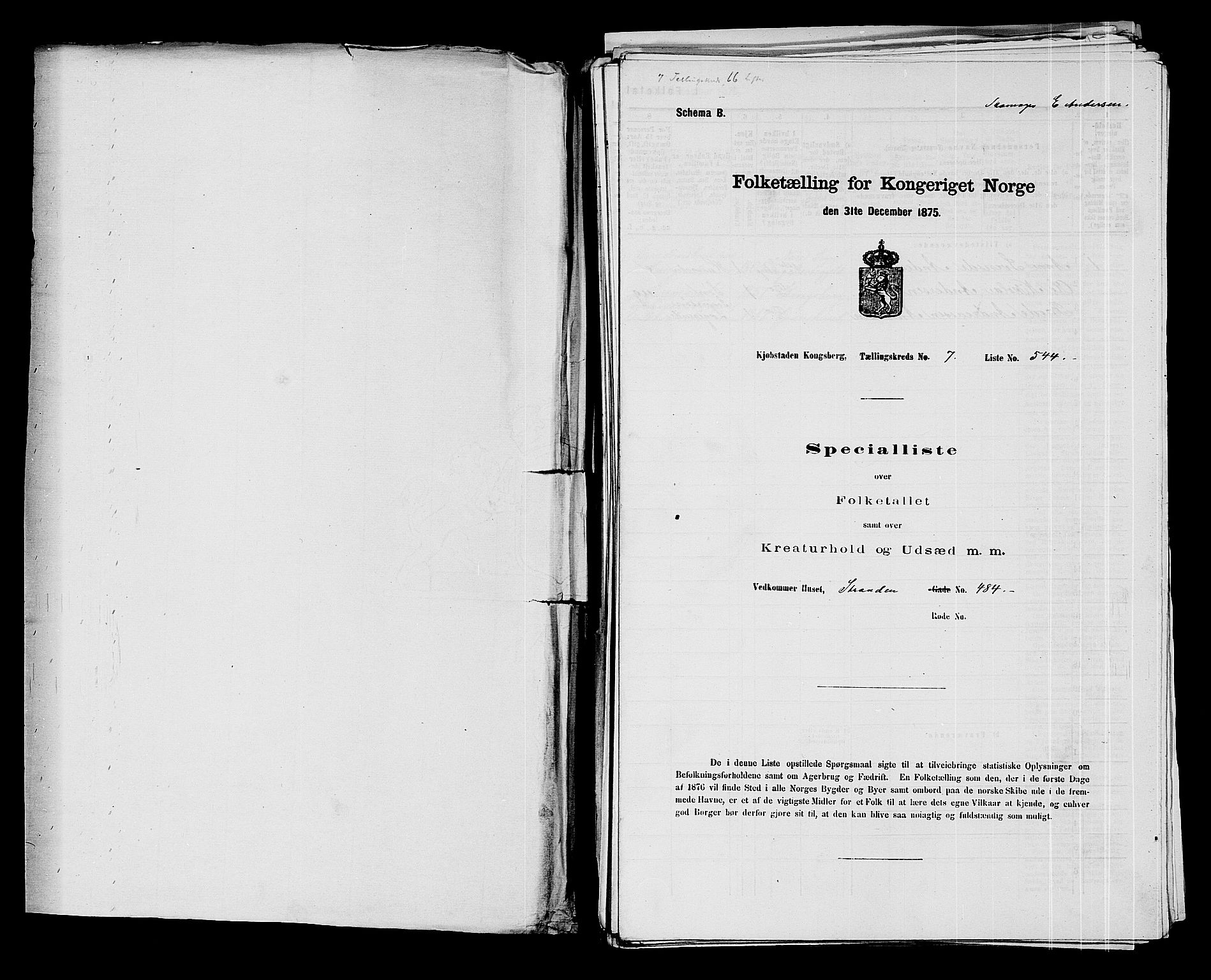 SAKO, 1875 census for 0604B Kongsberg/Kongsberg, 1875, p. 1203