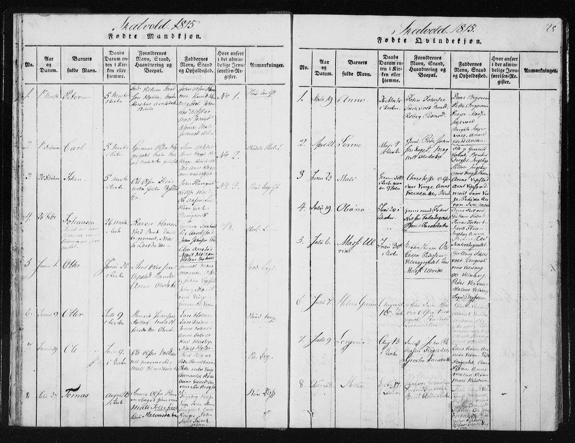 Ministerialprotokoller, klokkerbøker og fødselsregistre - Nord-Trøndelag, SAT/A-1458/709/L0061: Parish register (official) no. 709A08 /2, 1815-1819, p. 25