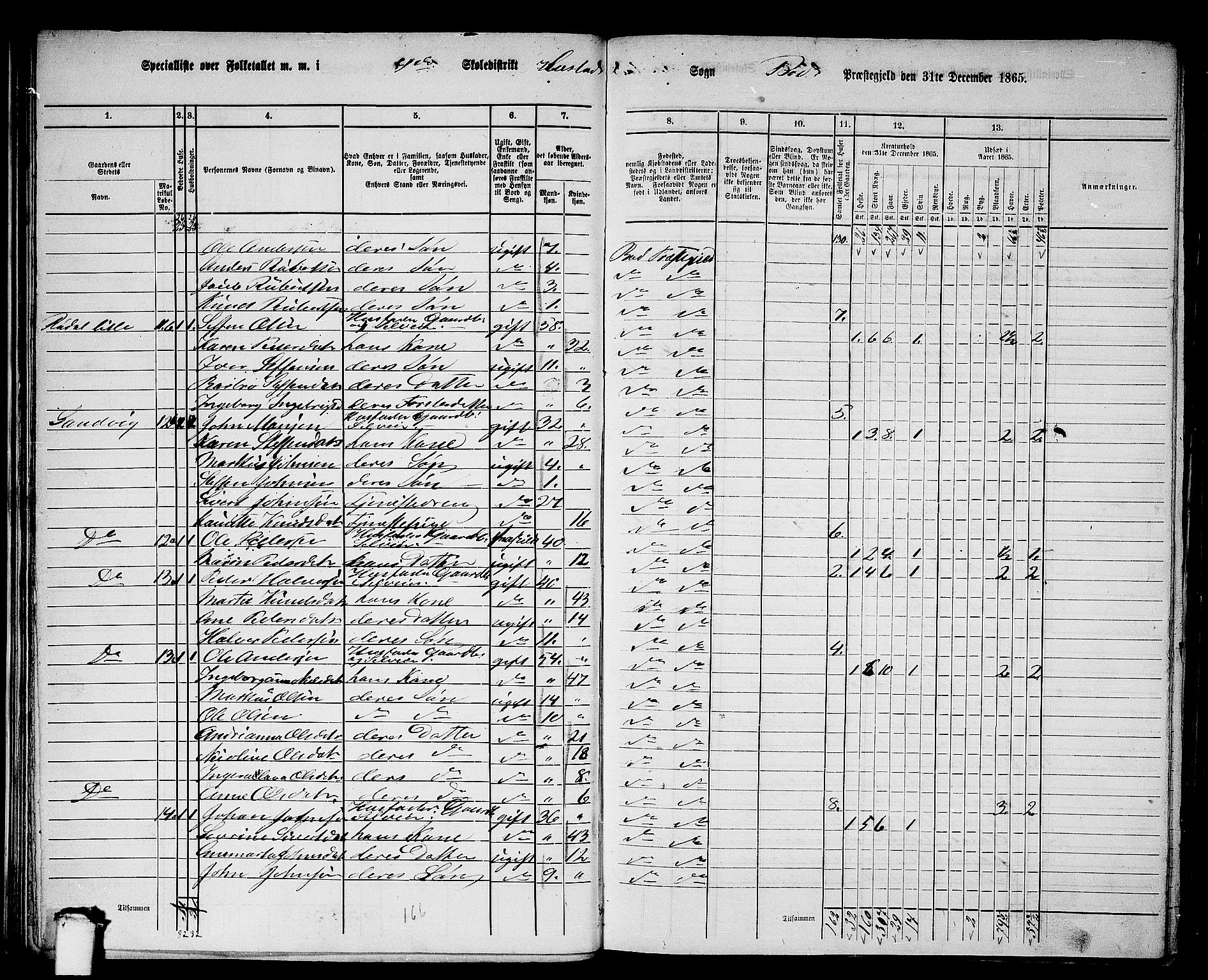 RA, 1865 census for Bud, 1865, p. 17