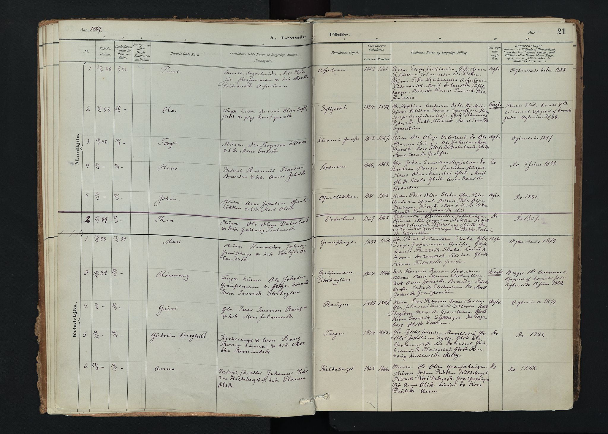 Nord-Fron prestekontor, SAH/PREST-080/H/Ha/Haa/L0005: Parish register (official) no. 5, 1884-1914, p. 21