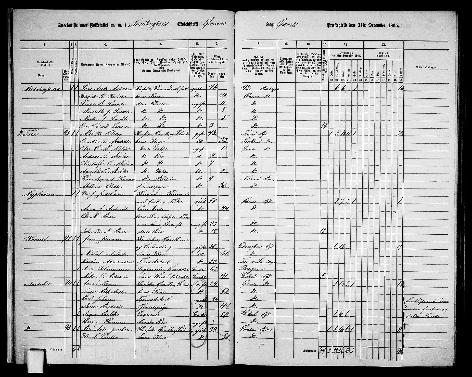 RA, 1865 census for Øksnes, 1865, p. 21