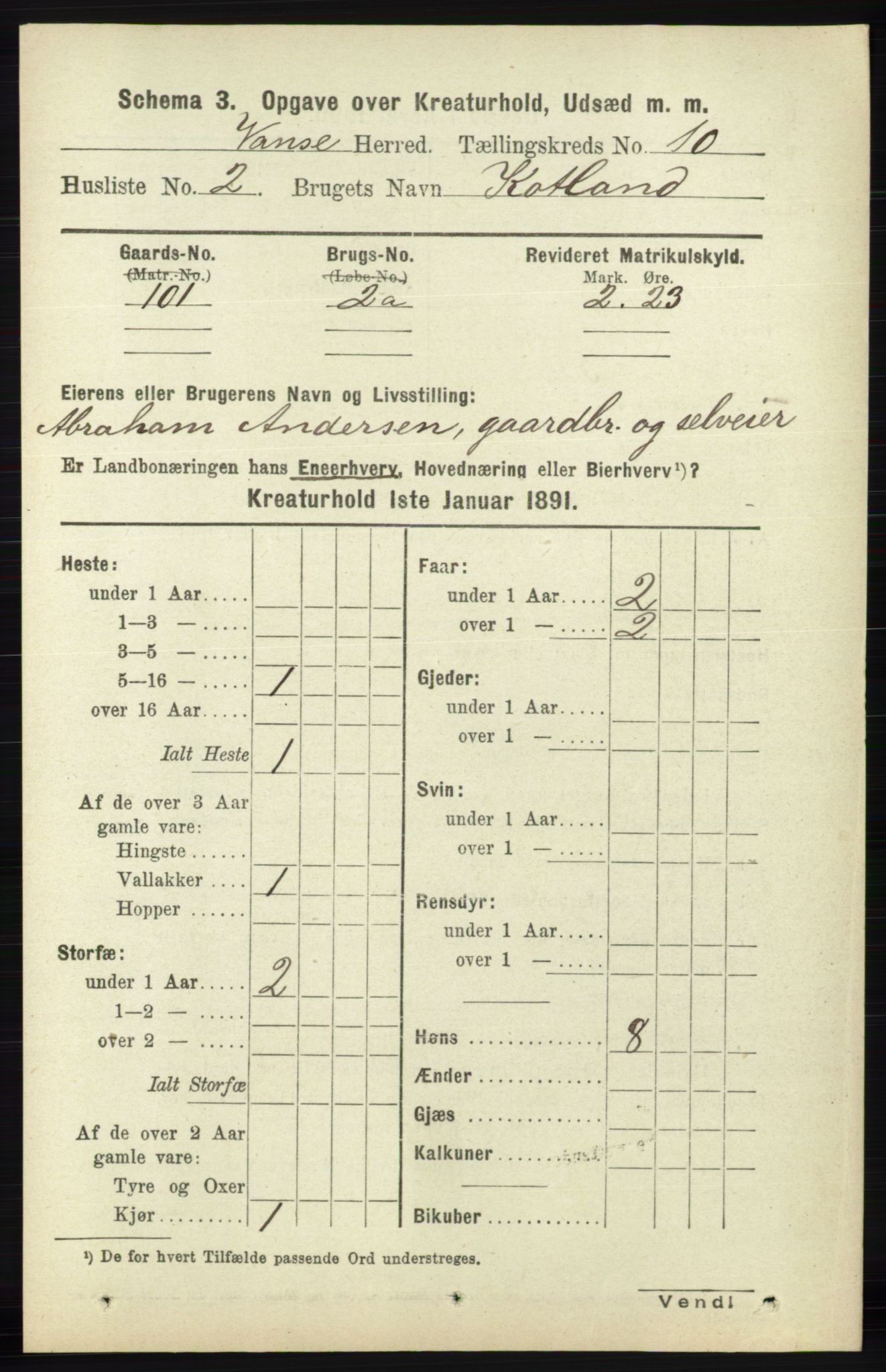 RA, 1891 census for 1041 Vanse, 1891, p. 9699