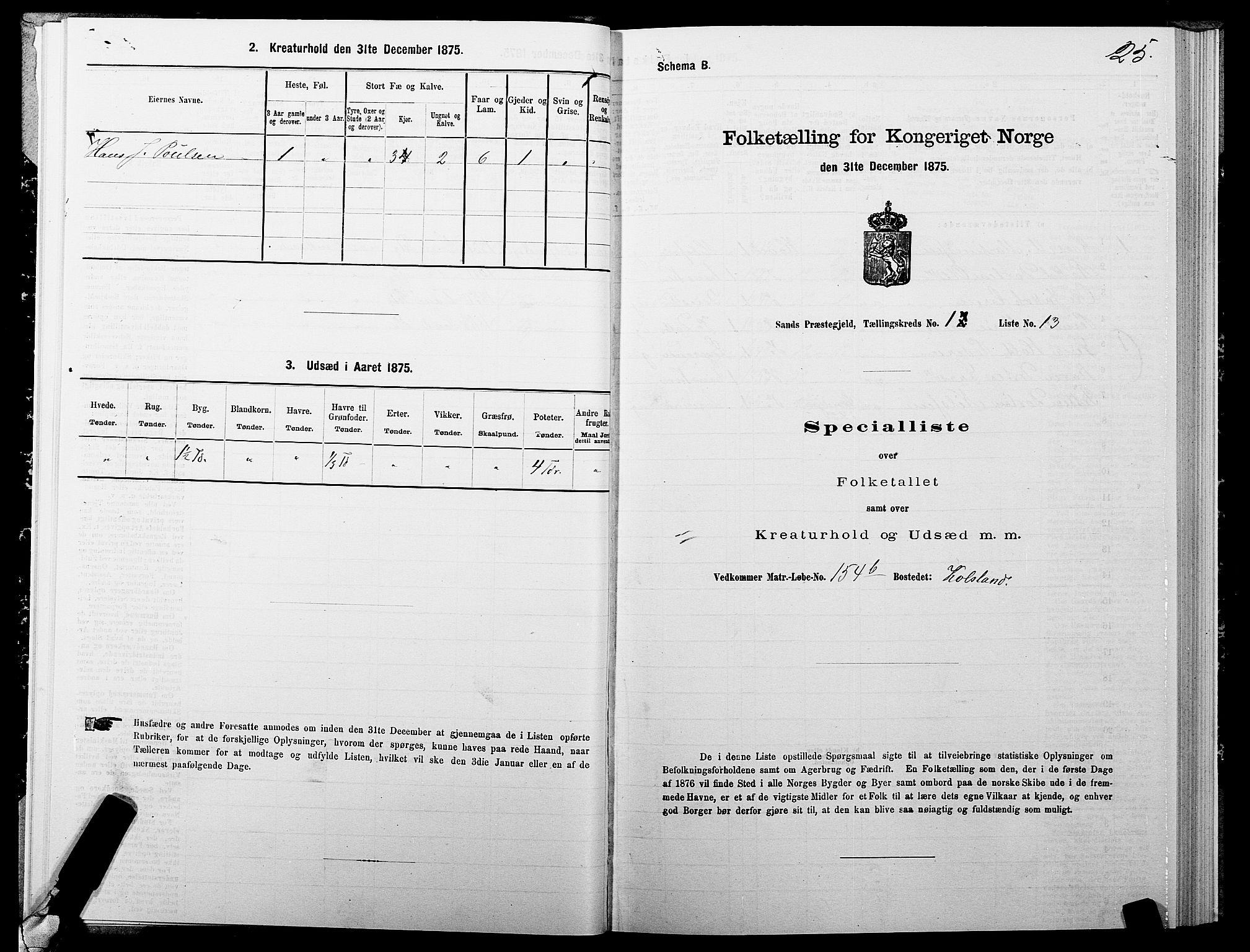 SATØ, 1875 census for 1915P Sand, 1875, p. 1025