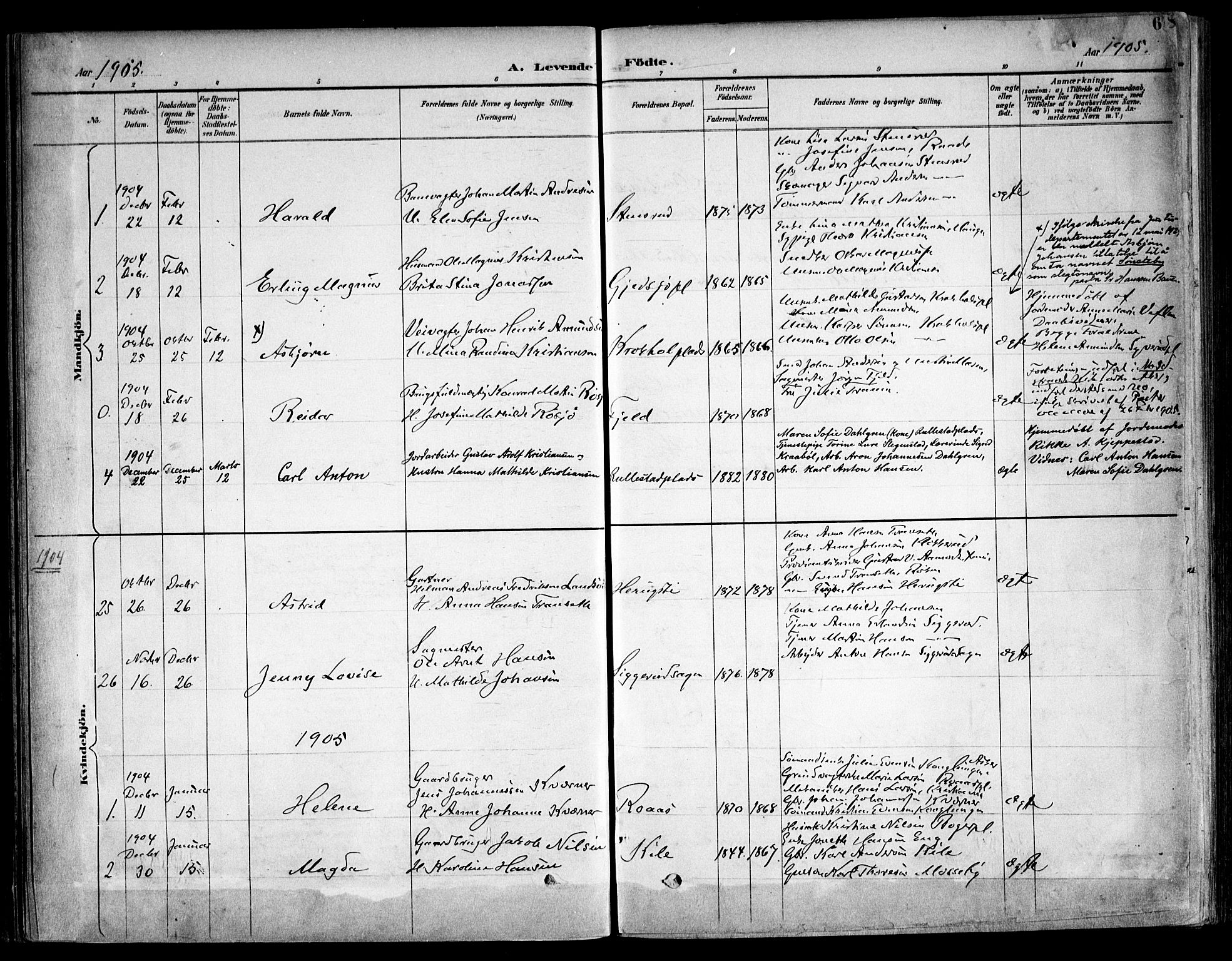 Kråkstad prestekontor Kirkebøker, SAO/A-10125a/F/Fb/L0002: Parish register (official) no. II 2, 1893-1917, p. 67