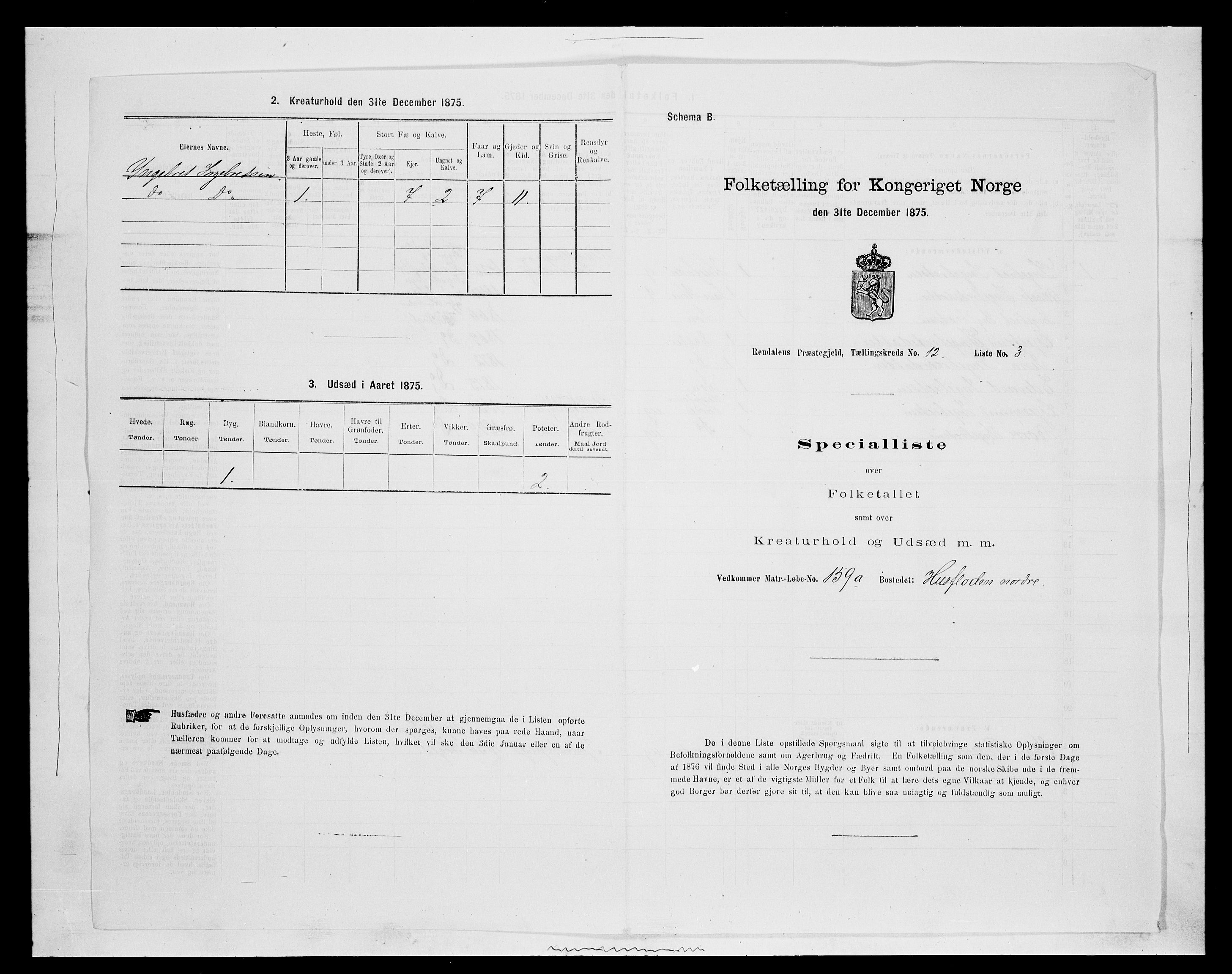 SAH, 1875 census for 0432P Rendalen, 1875, p. 1036